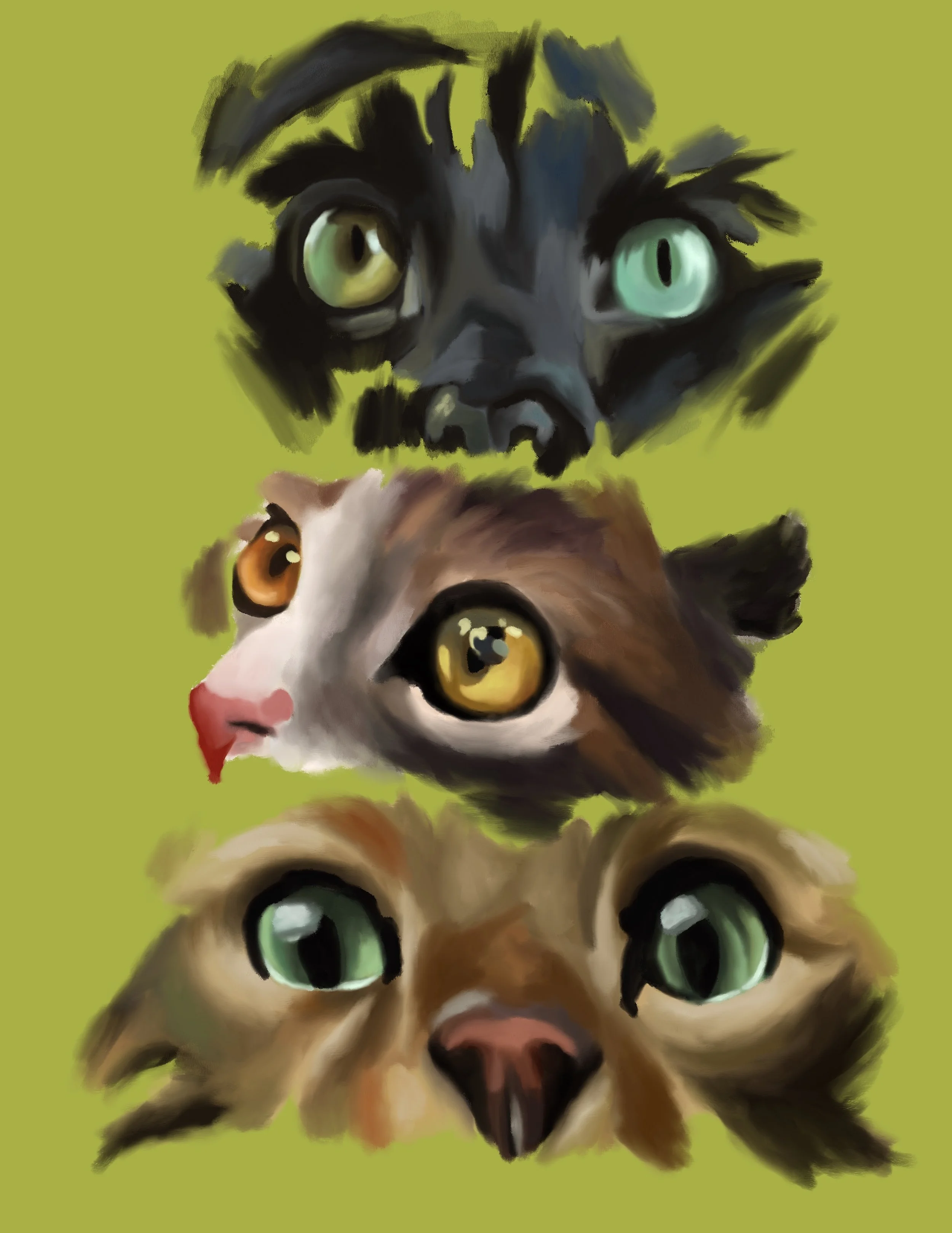 Cats.jpeg