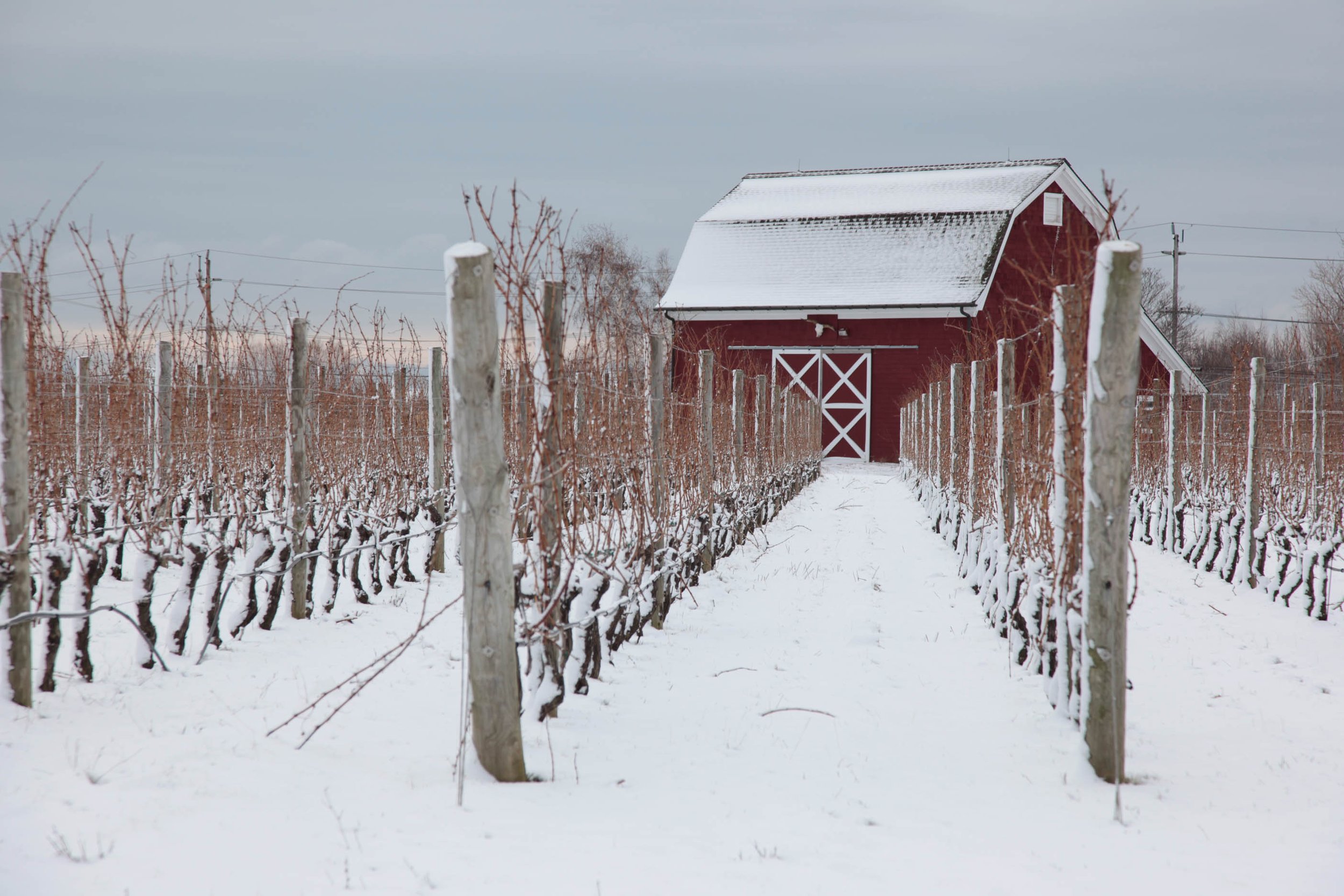 Red Barn