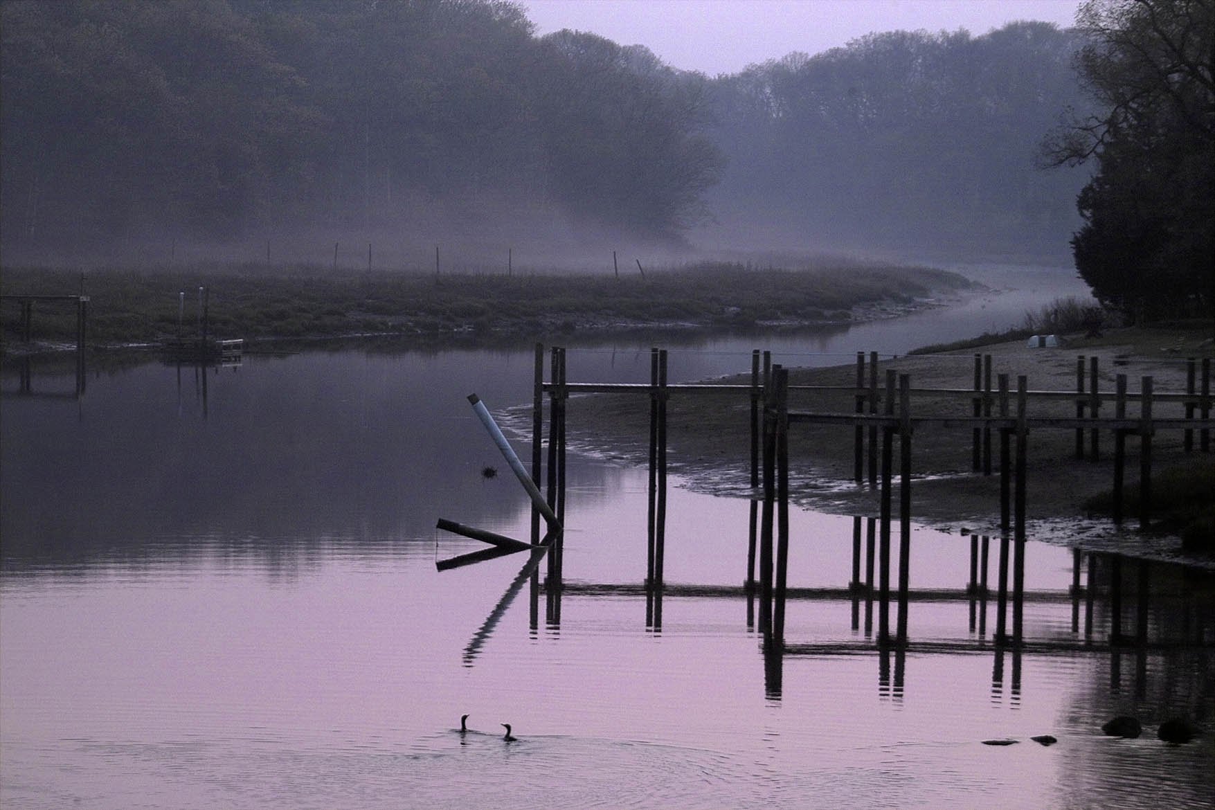 Morning Cormarants copy 2.jpg