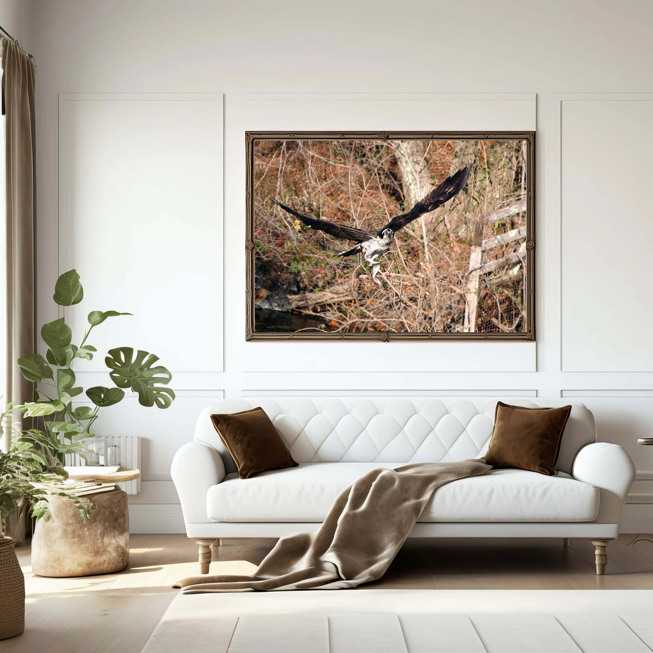 Ospreys Catch in LR.jpg