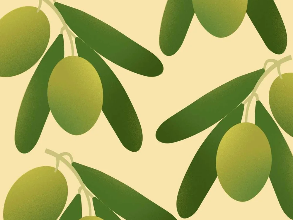 Can Dogs Eat Oils And Are They Safe For Dogs? — Sidekick by Finn