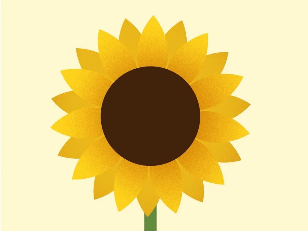 Can Dogs Eat Oils And Are They Safe For Dogs? — Sidekick by Finn