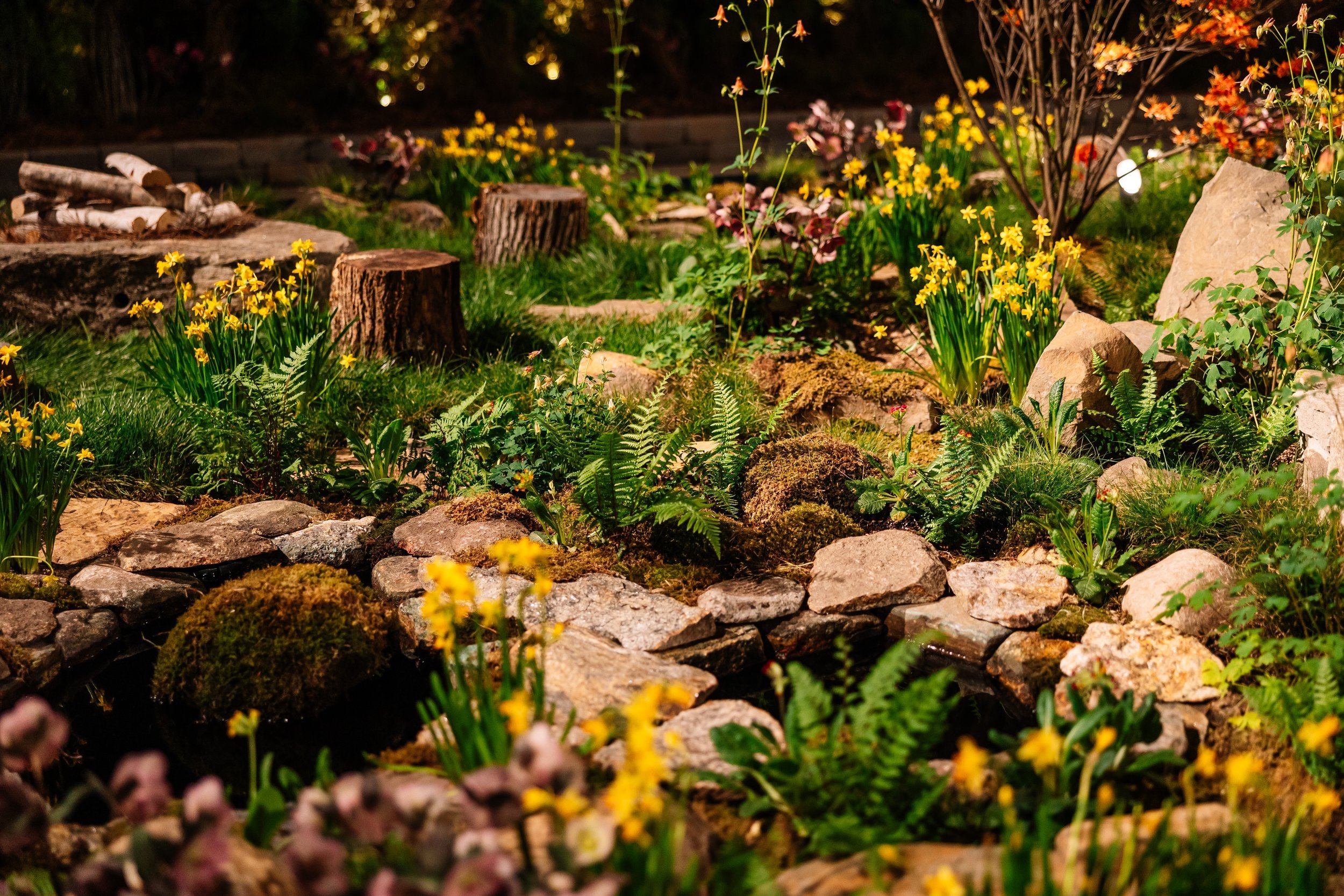 PhiladelphiaFlowerShow-7888.jpg