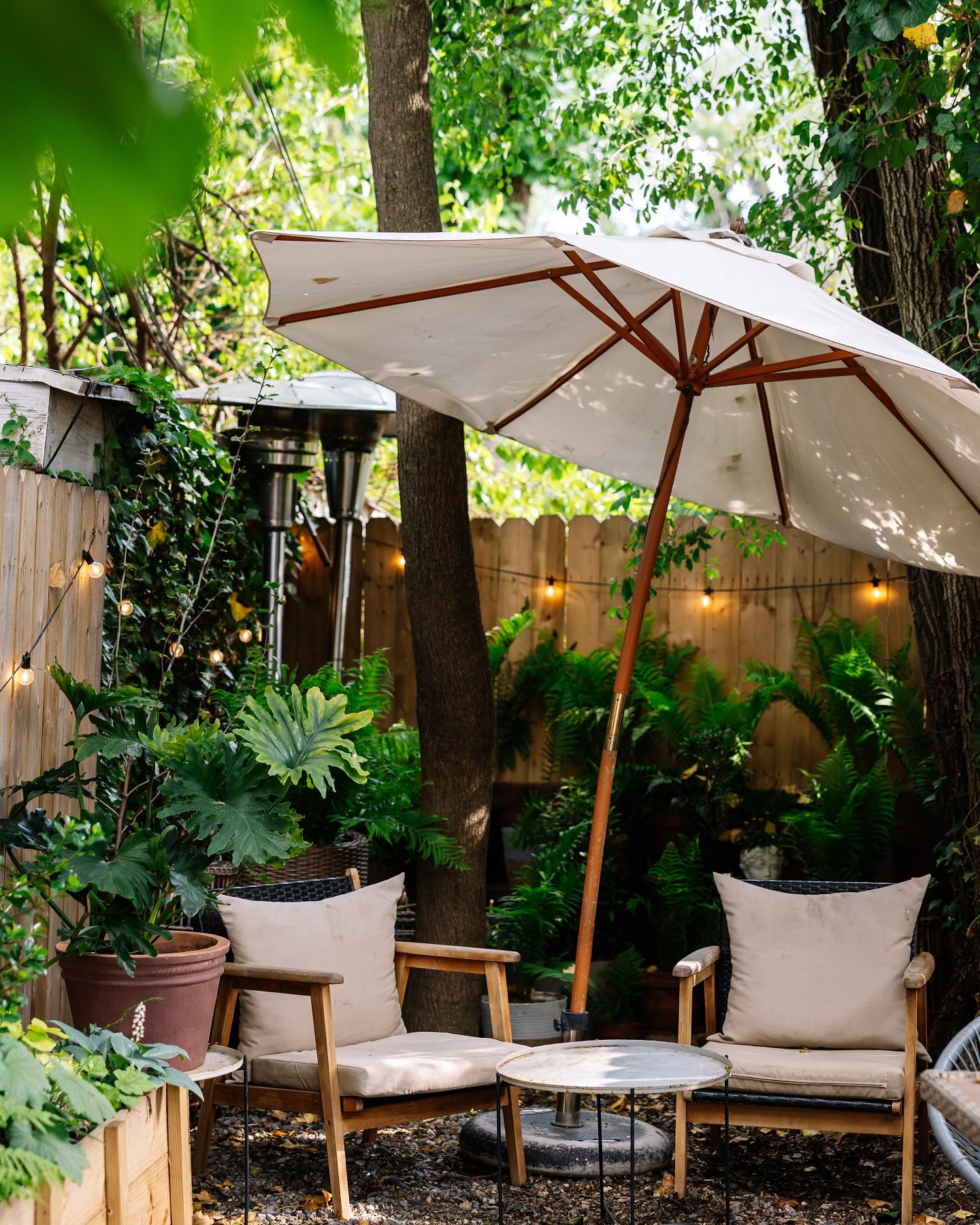 Today is my headshot pop-up day at Scout Cafe! Stop by between 1-3pm for a relaxed portrait of yourself in the back garden space. $50/person.

Who will I see today? I&rsquo;m so excited!