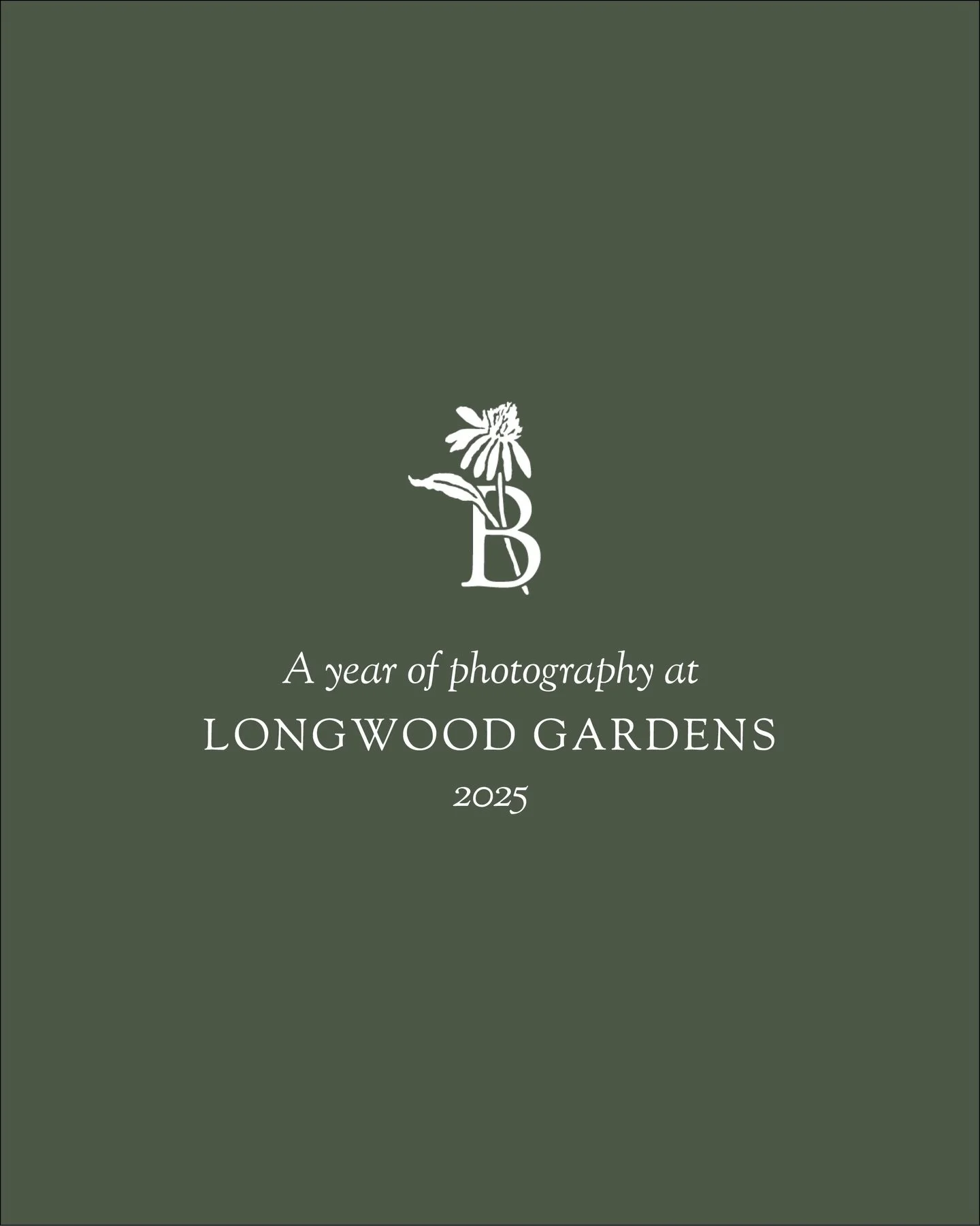 A year at Longwood Gardens photographed month by month. Seasonal changes, light, and details from one of the most beautiful gardens in the United States. ✨

Forever grateful for the trust of @longwoodgardens to share my work with the world. Thank you