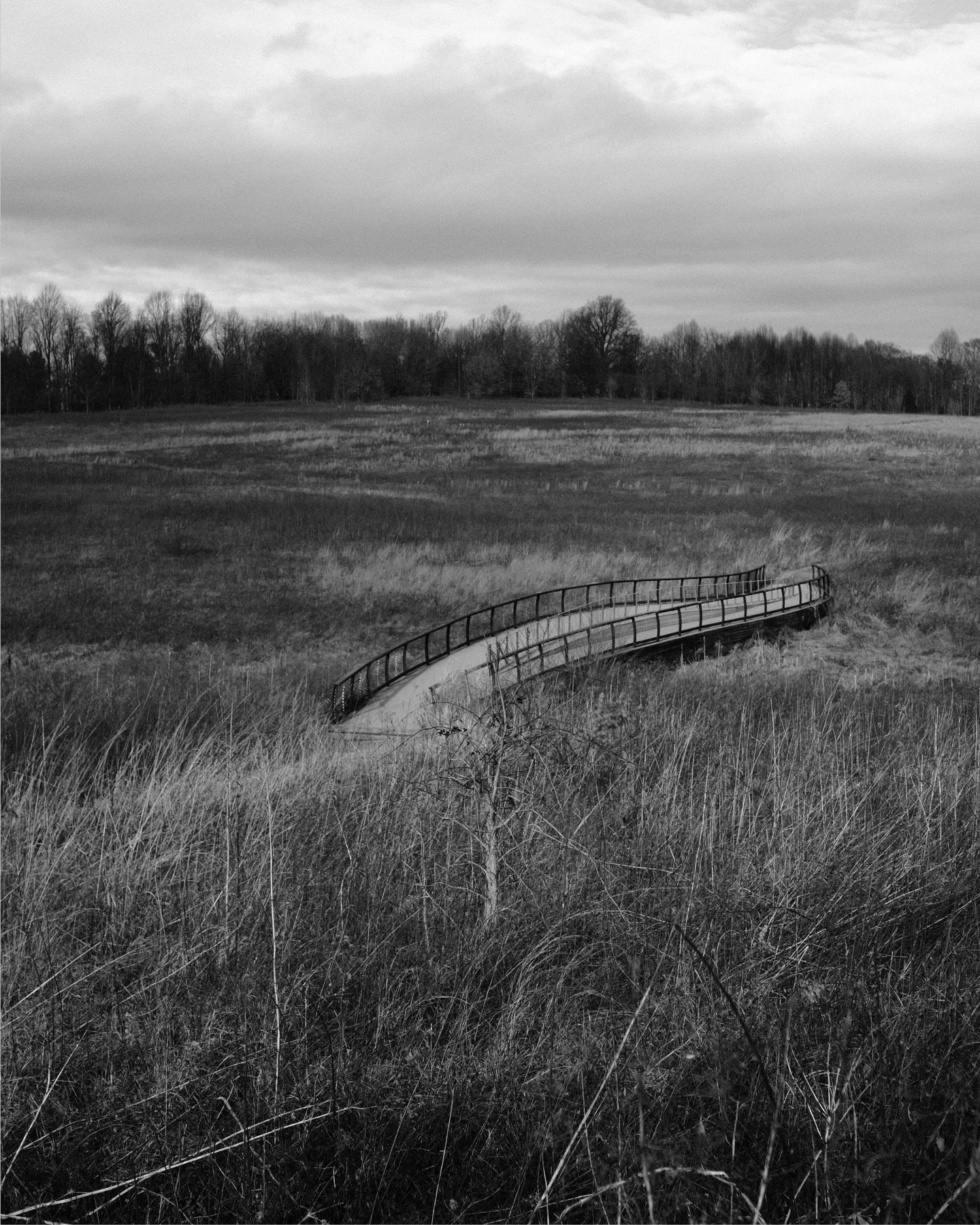 Slow season allows me to reconnect with my love of photography as a hobby. Long before I started this business, I loved taking photos of my everyday life. 

While the world feels so heavy these days, it&rsquo;s an important reminder that we need to s