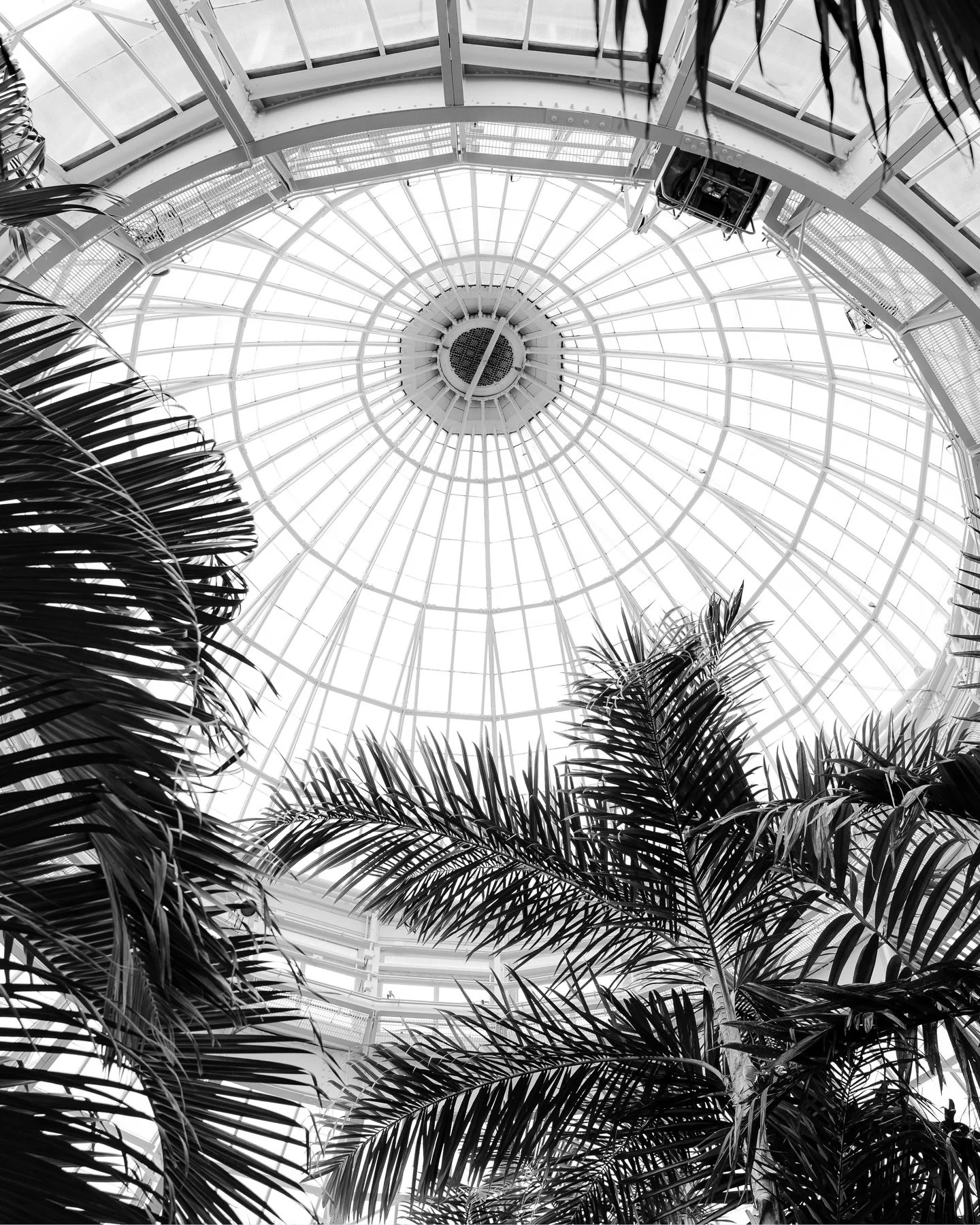 Checked off another botanical garden from my list!

Last week @heyfromsarah and I explored New York Botanical Garden in The Bronx, New York. I loved seeing orchids both as artistic features and placed around for a more organic experience.

I was real