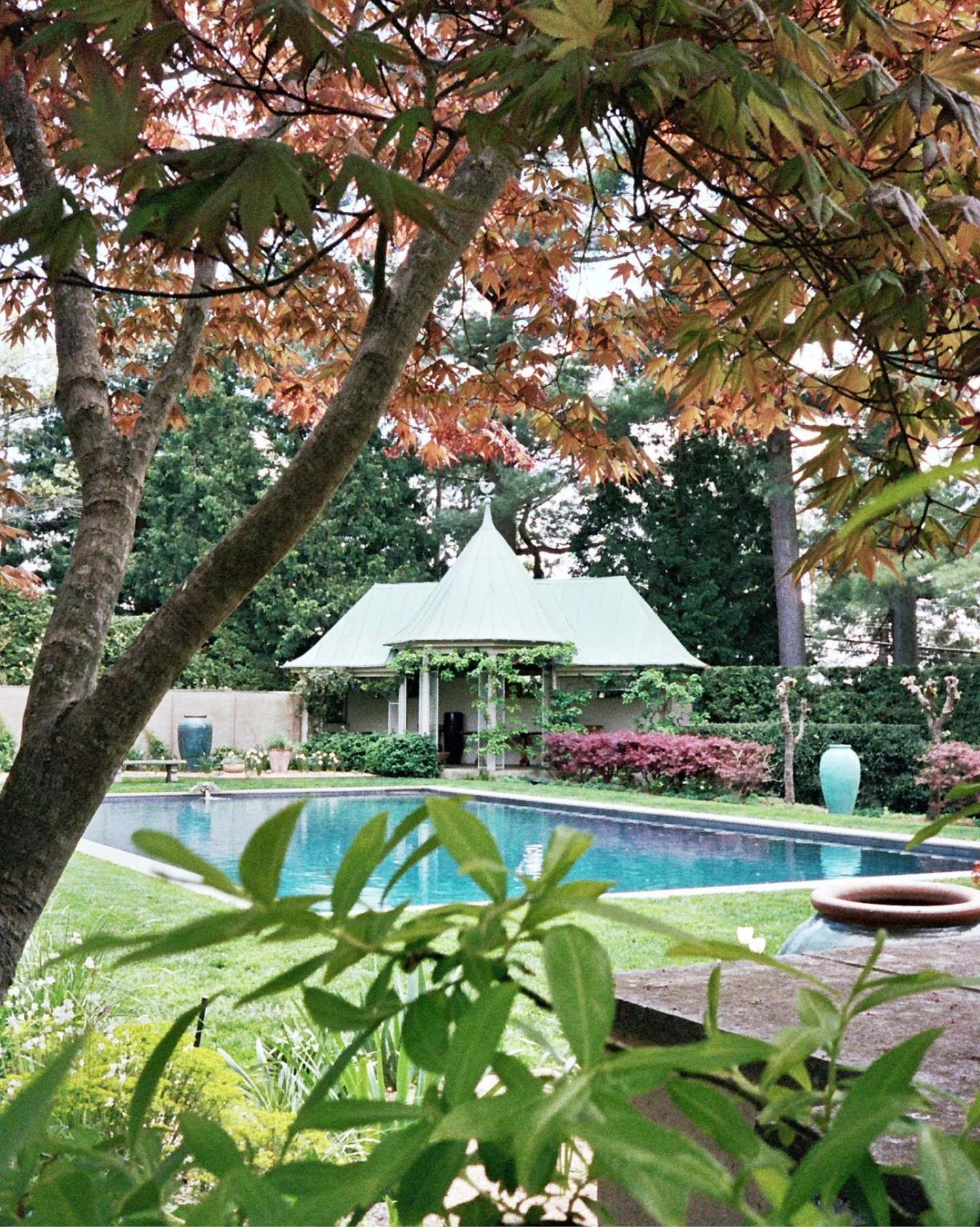 Last week @heyfromsarah + I went to Chanticleer and I challenged myself to only shoot film (okay, I took less than 10 photos on digital at least!!). We also walked the garden &ldquo;backwards&rdquo; which was a welcomed change of pace. I&rsquo;m so e