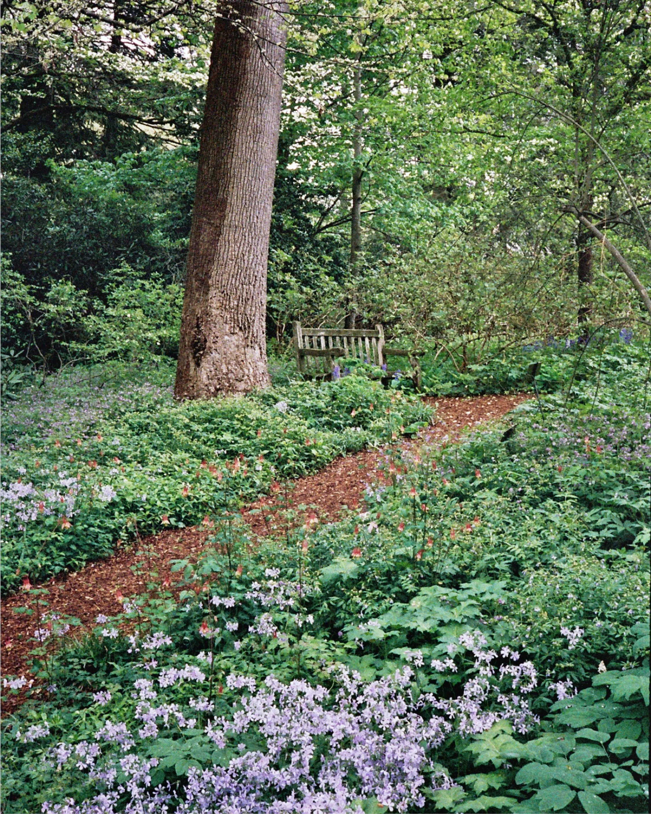 Spring Brandywine Valley area gardens photographed on film. ✨

🎞️: Pentax 17 half-frame with Kodak Portra 400
📍: Mt. Cuba Center (@mtcubacenter), Winterthur (@winterthurmuse), Longwood Gardens (@longwoodgardens), and Marian Coffin Gardens (@marianc
