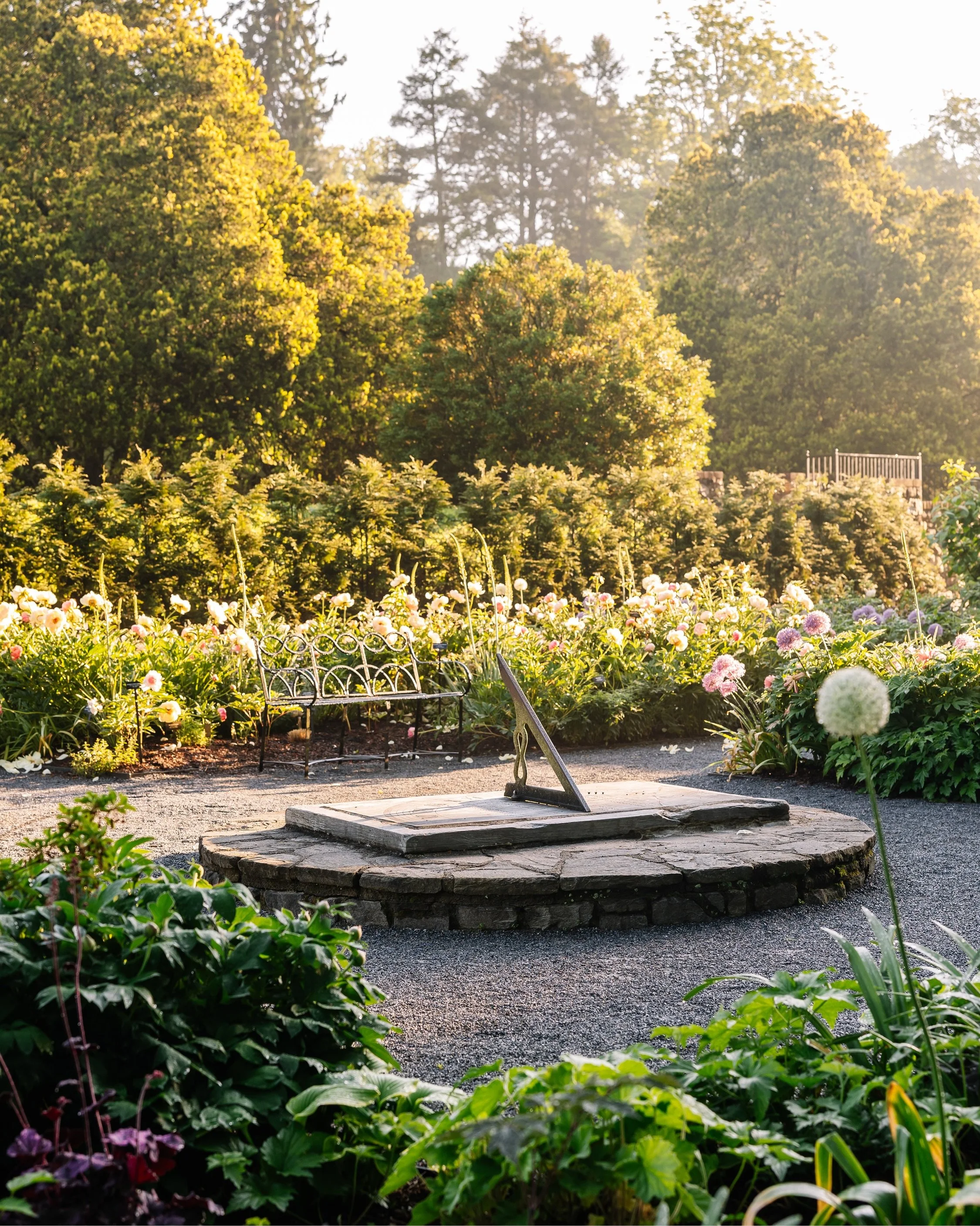 Some of the most magical morning light pouring into Longwood Gardens. ✨

Currently in bloom &ndash; the rose and peony gardens.

Alternate caption: I was genuinely squealing about this light. Unreal.

🏷️: Longwood Gardens, Longwood Gardens photograp