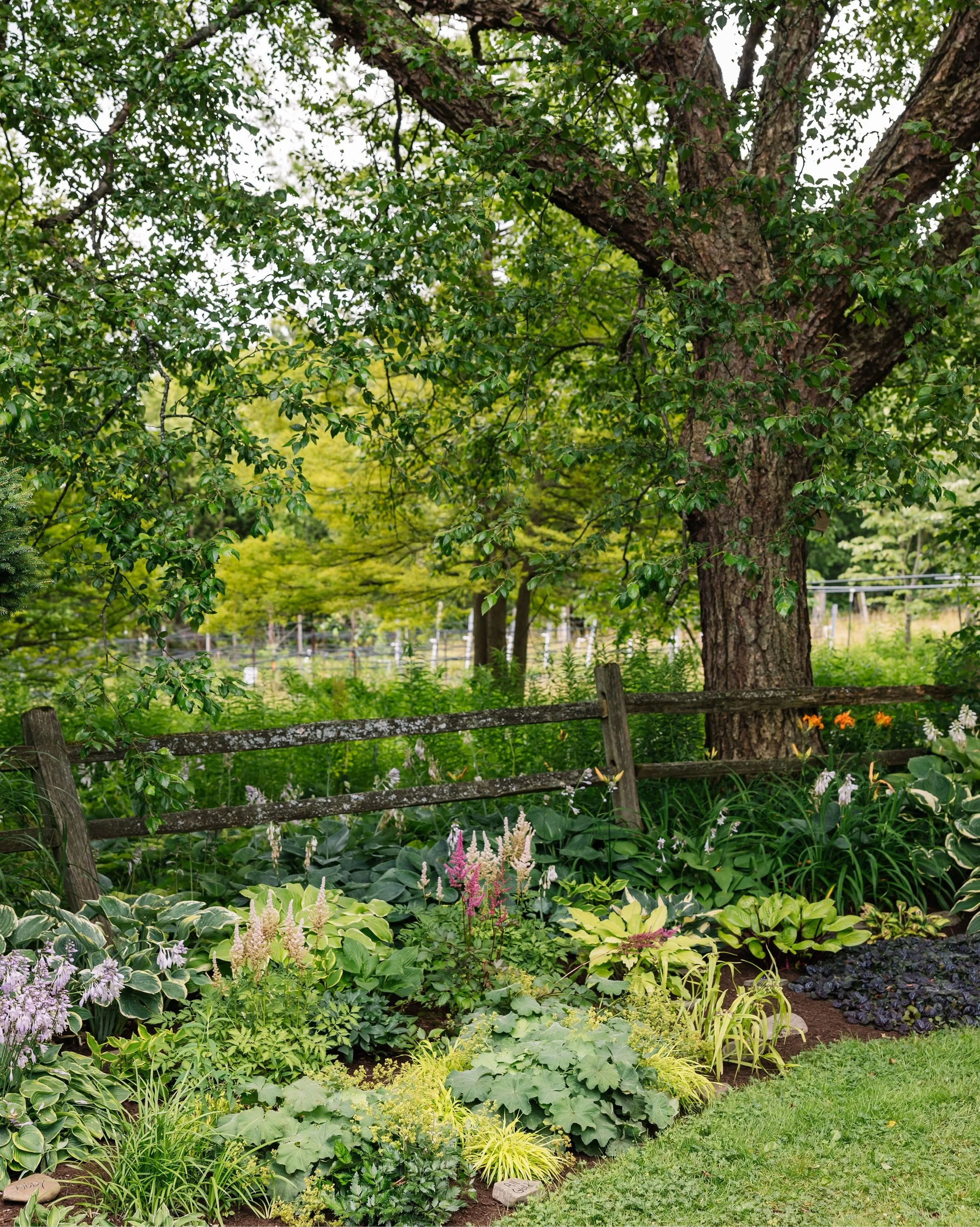 I love the challenge of photographing the gardens during The Fling. We&rsquo;re seeing gardens in the middle of the day when light can be harsh and sometimes we only have 30 minutes at a garden. So, what strikes my interest first? Is it the architect
