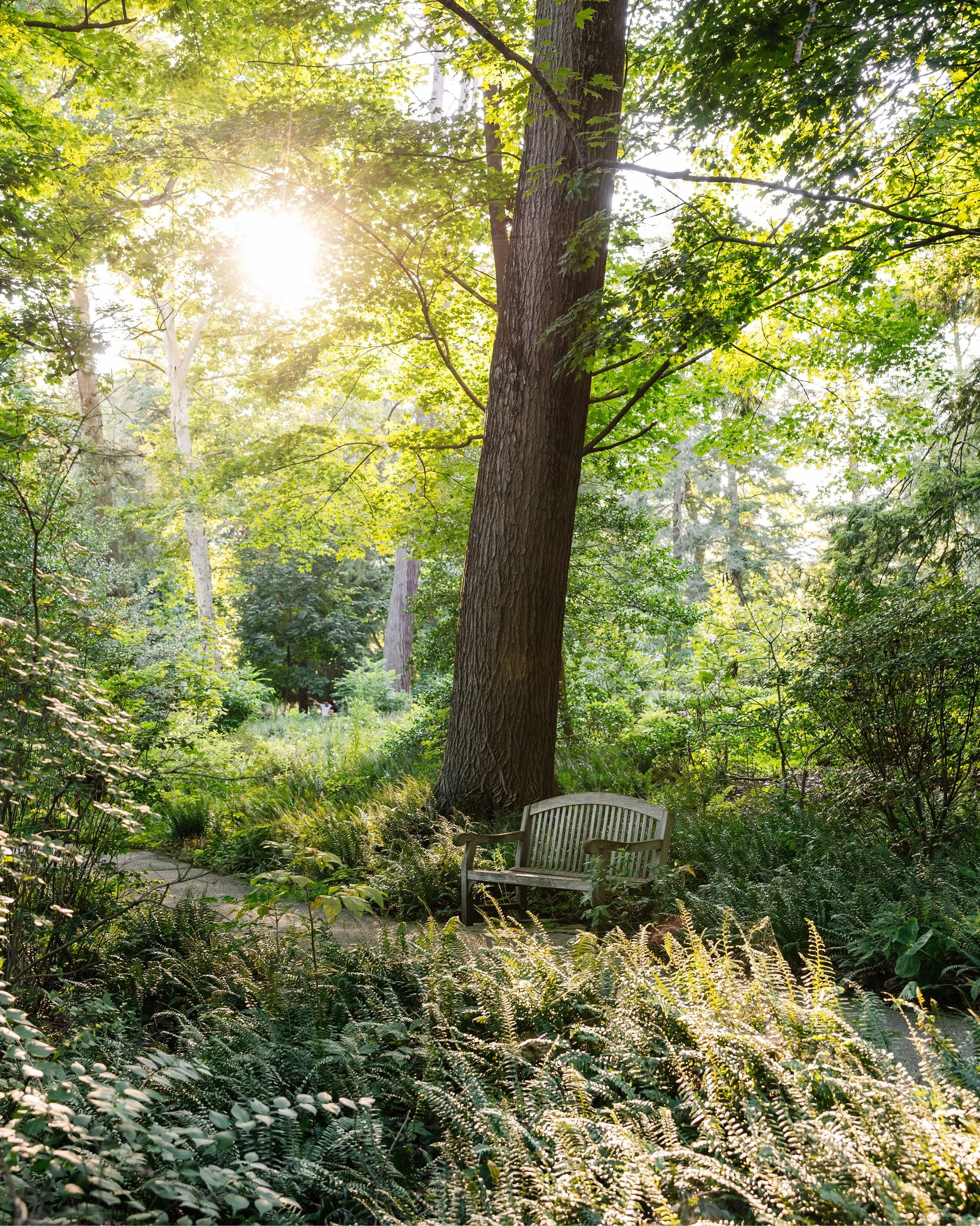 Last light at Longwood Gardens. ✨

Photographed on July 23, 2026.

🏷️: Longwood Gardens, Longwood Gardens photographer, garden photographer, garden photographer, Brandywine Valley, America&rsquo;s Garden Capital, Kennett Square