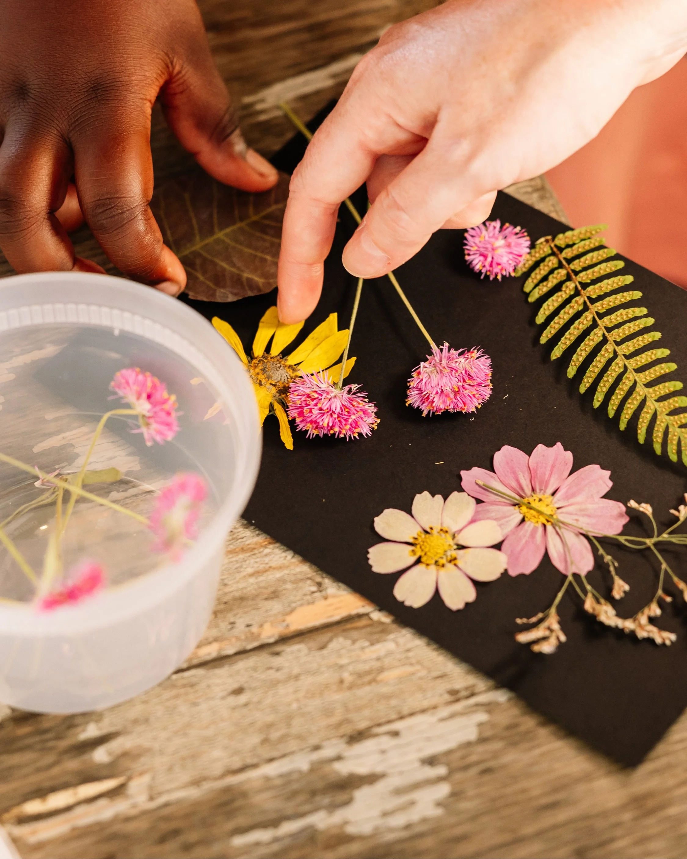 Pressed flower workshop and some general marketing photography for PHS&rsquo;s Pop-Up Beer Garden in Manayunk.

(Swipe to the end for a surprise 🤪)

🏷️: Philadelphia photographer, marketing photographer, Delaware photographer, garden photographer, 