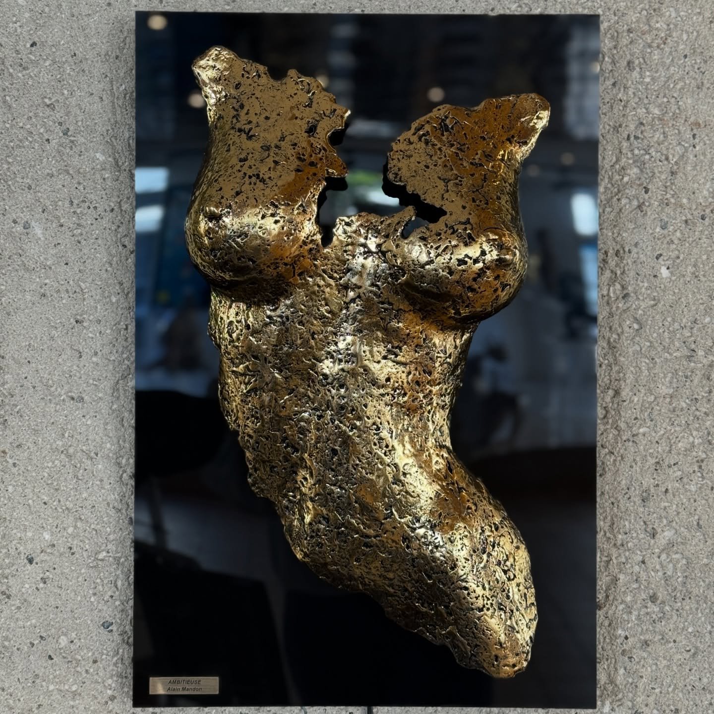 &OElig;uvre de la semaine : &laquo;&nbsp;Ambitieuse&nbsp;&raquo; d&rsquo;Alain Mandon ✨

Cette sculpture murale est m&eacute;lange de force et de fragilit&eacute;. On a du m&eacute;tal, quelque chose de lourd et brut, mais Mandon arrive &agrave; le t