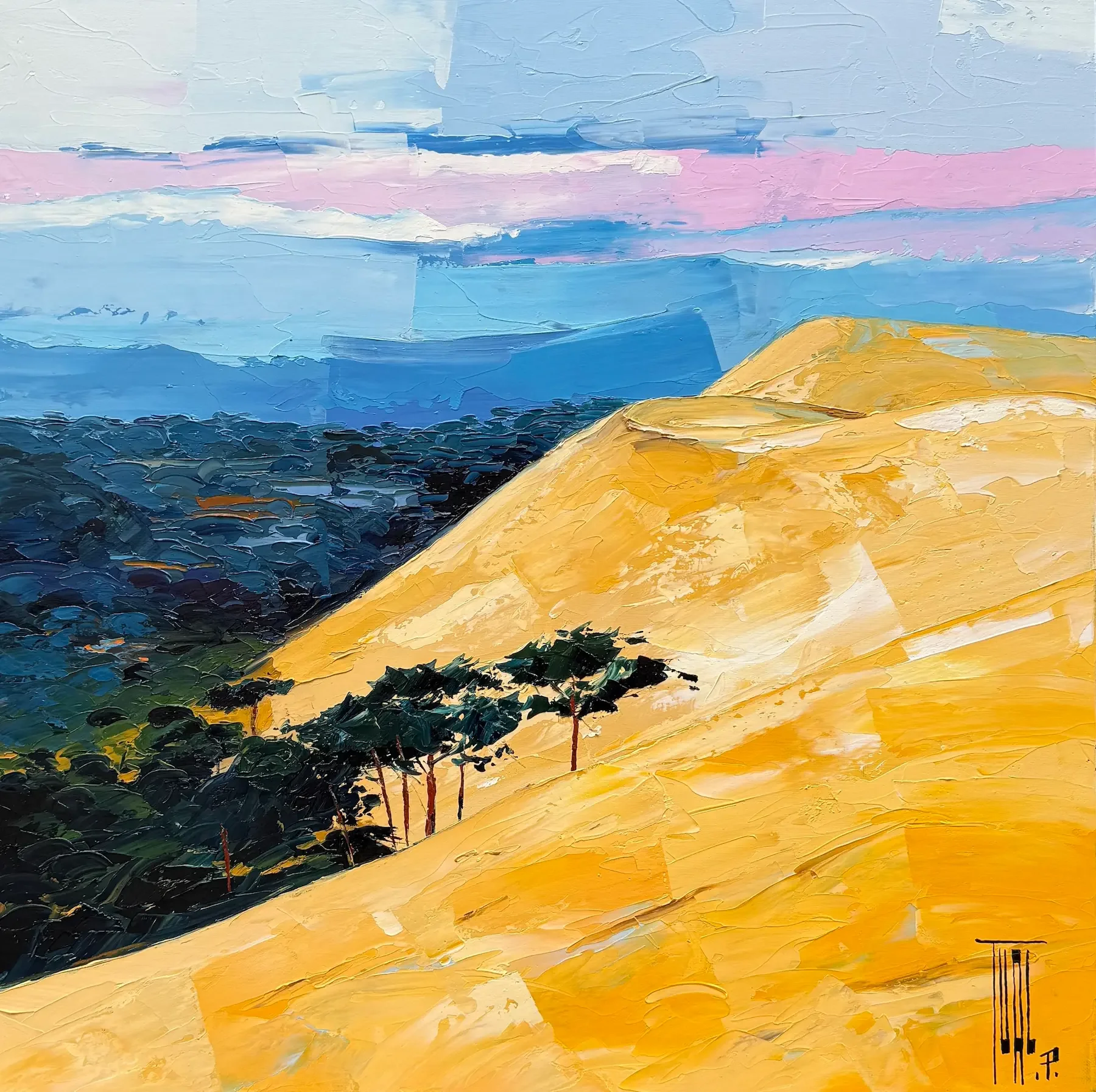 tableau dune du pila de Pierrick Tual Galerie Graal .webp