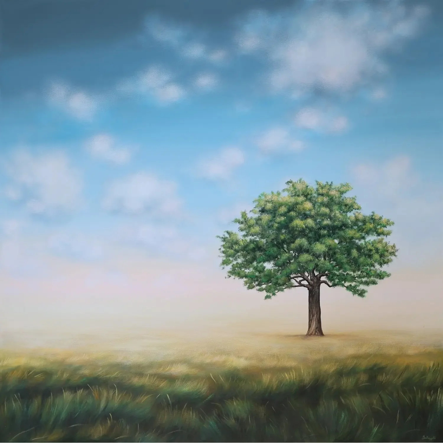 "Un été indien" de Alexandra Battezzati