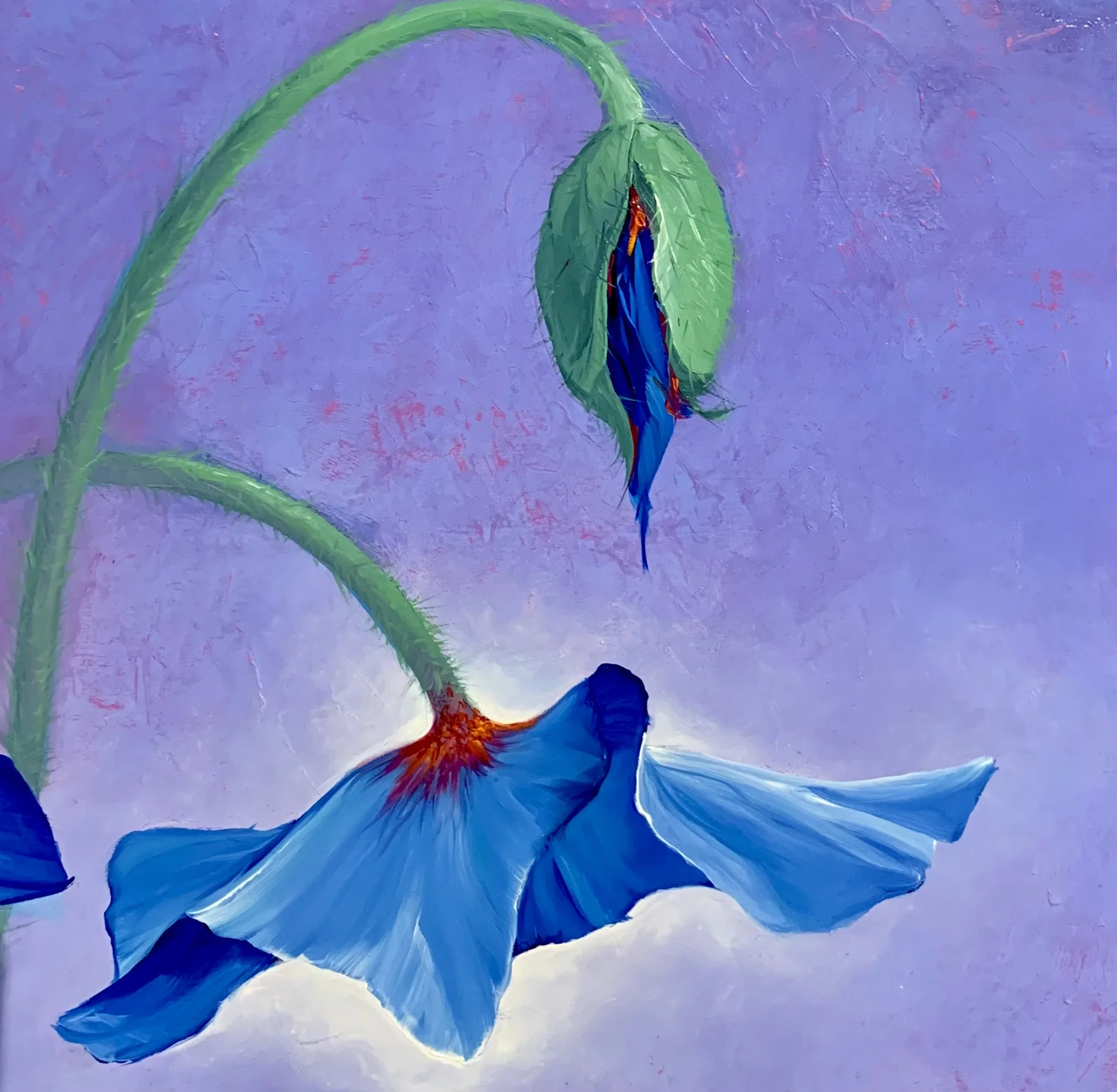 Tableau lumiere fleurs azur de ludivine corominas .webp