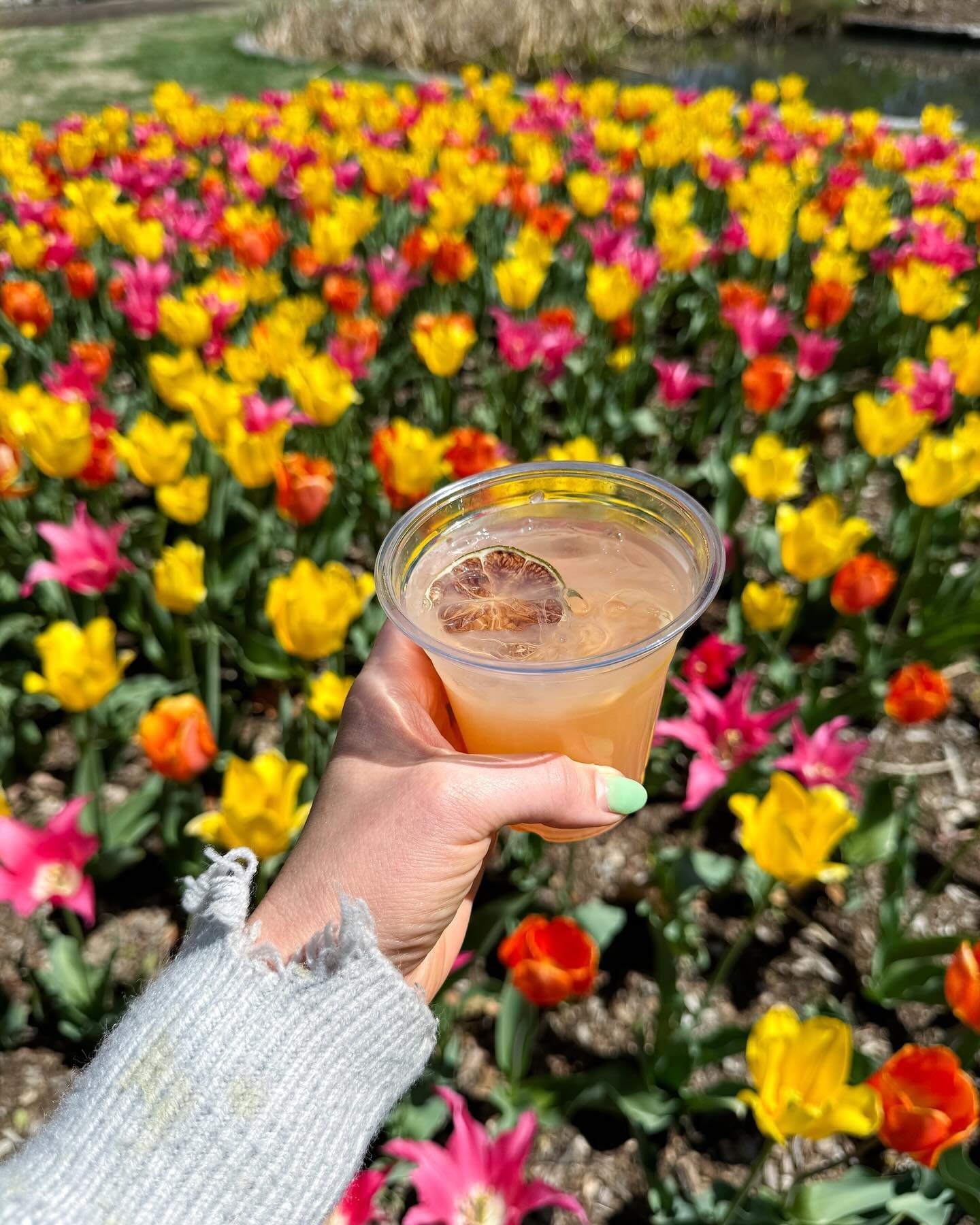 Weekends in @towergrovepark are back y&rsquo;all. 🌳🍹 Join us THIS Friday (4/12) for the first night of Sunset Sips (FKA Beer and Cocktail Garden), followed by week ✌️ of the @tgfarmersmarket season (Sat, 4/13).

Warmer weather brings winning weeken