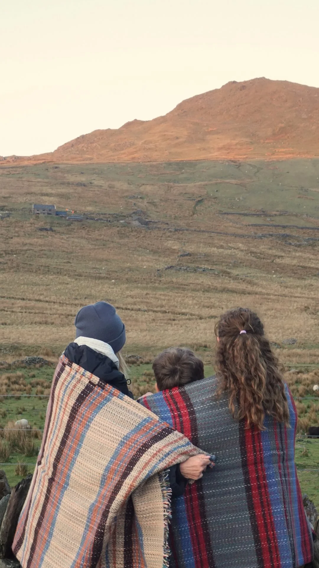 [image] - 603181.jpeg