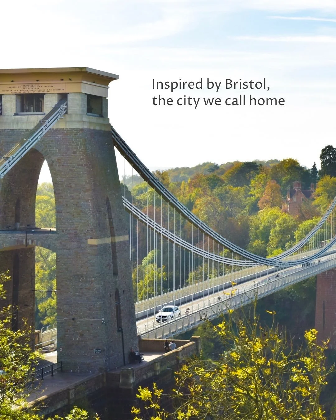 [image] - 8288942.jpeg