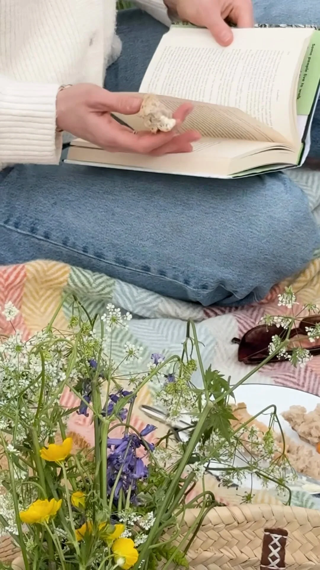 [image] - 5108540.jpeg