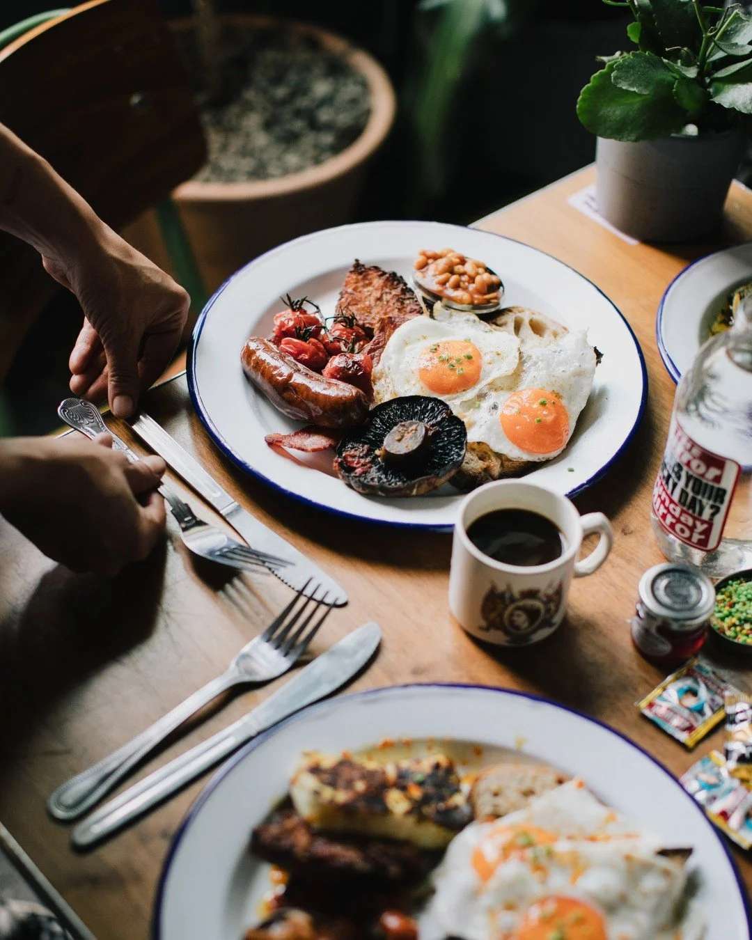 [image] - 9432455.jpeg