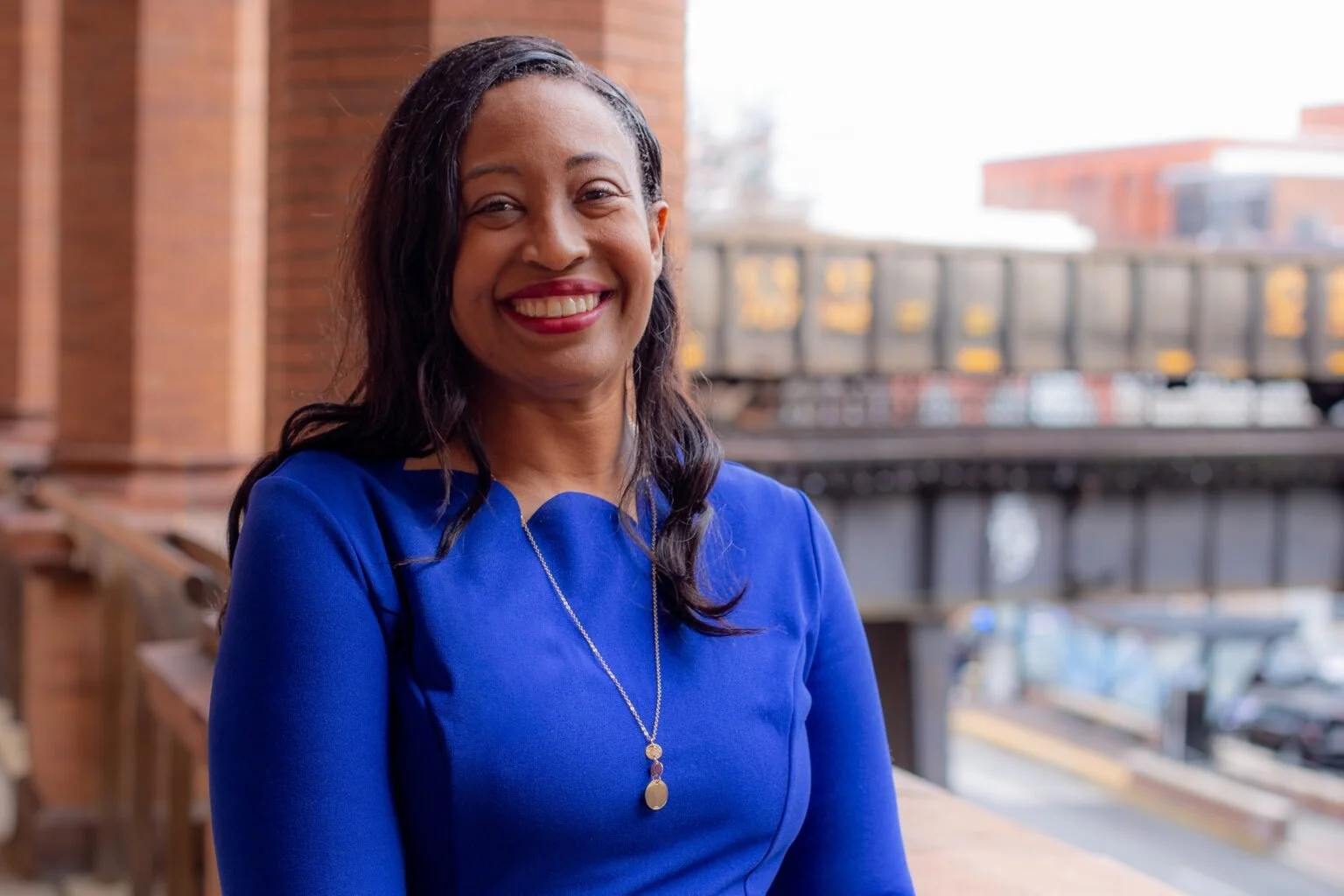 Leslie Mehta  - Virginia House District 73