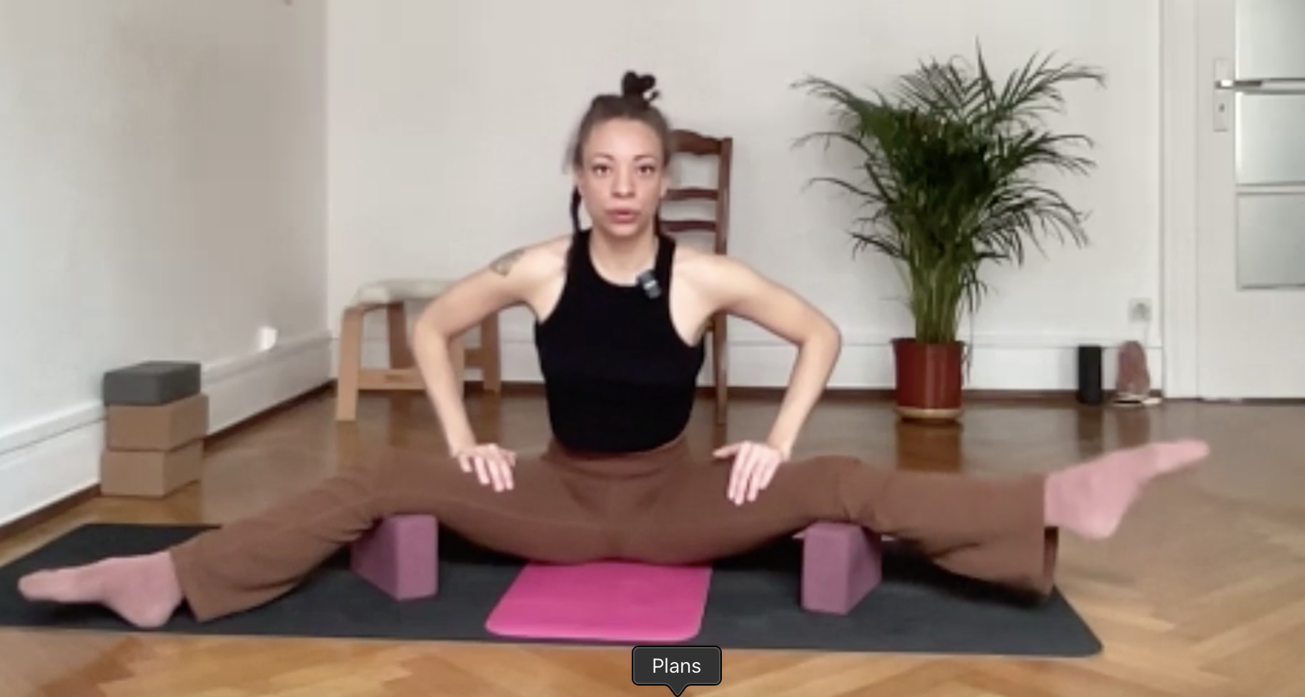 63' - Vinyasa flow - écart facial et inversions