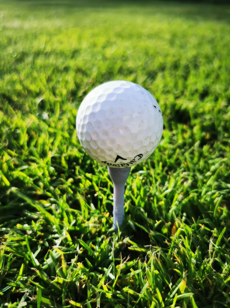 2-Person Team Registration - OPEN