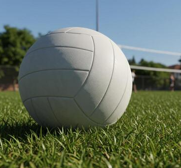 Grass Volleyball Tournament Player Registration
