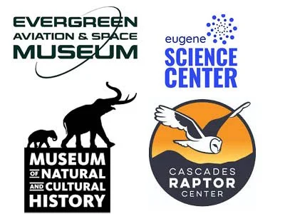 The Year of Family Fun