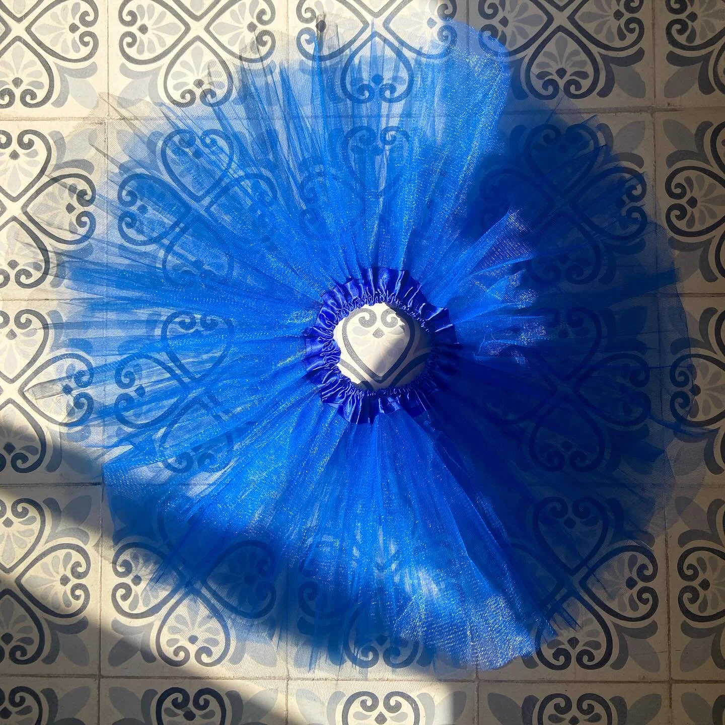 One week until showtime 💙 fluffing tutus, taking in costumes, creating playbills, setting the stage and running our dances over and over!