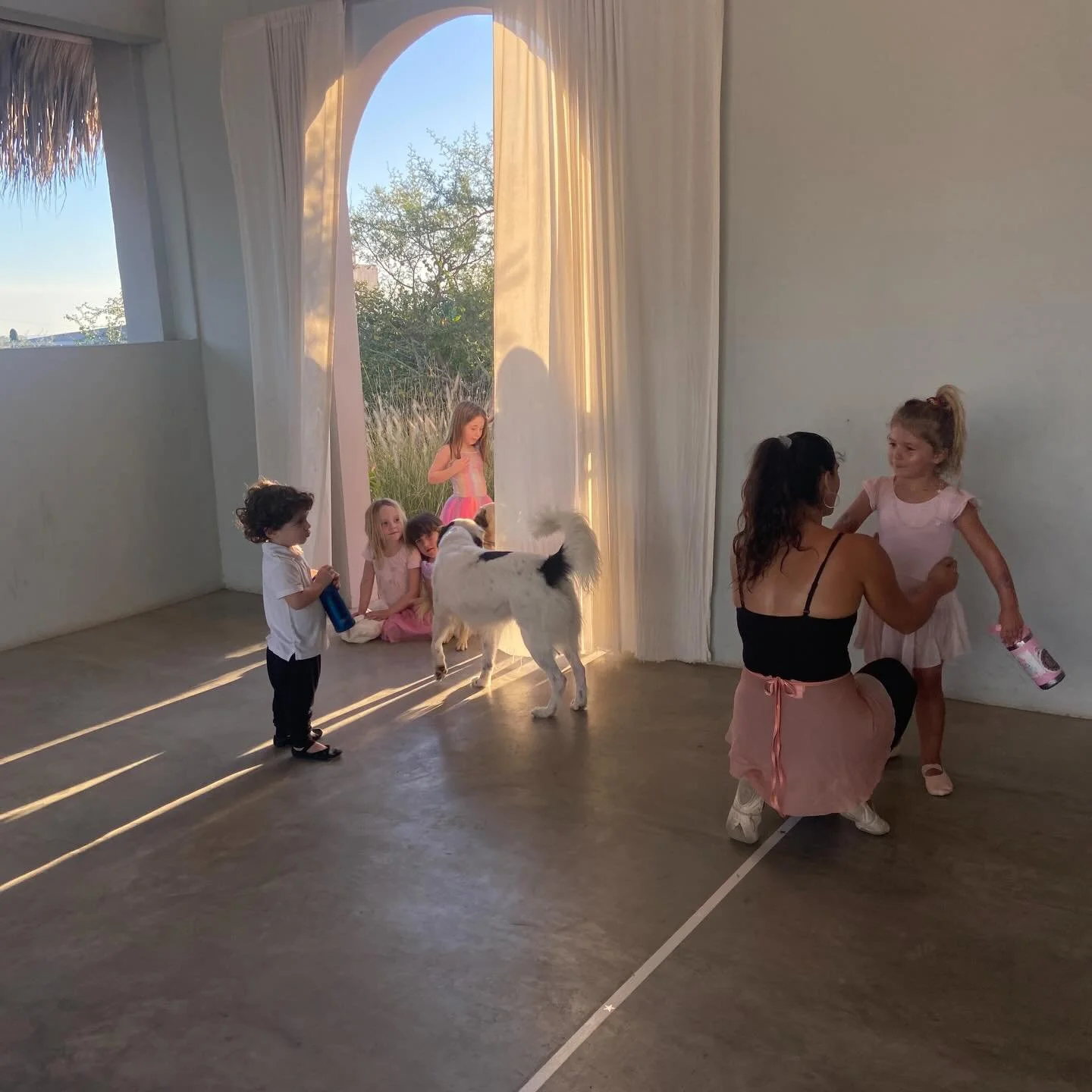 Renato returns for our last Ballet I of 2025! 🐾🩰