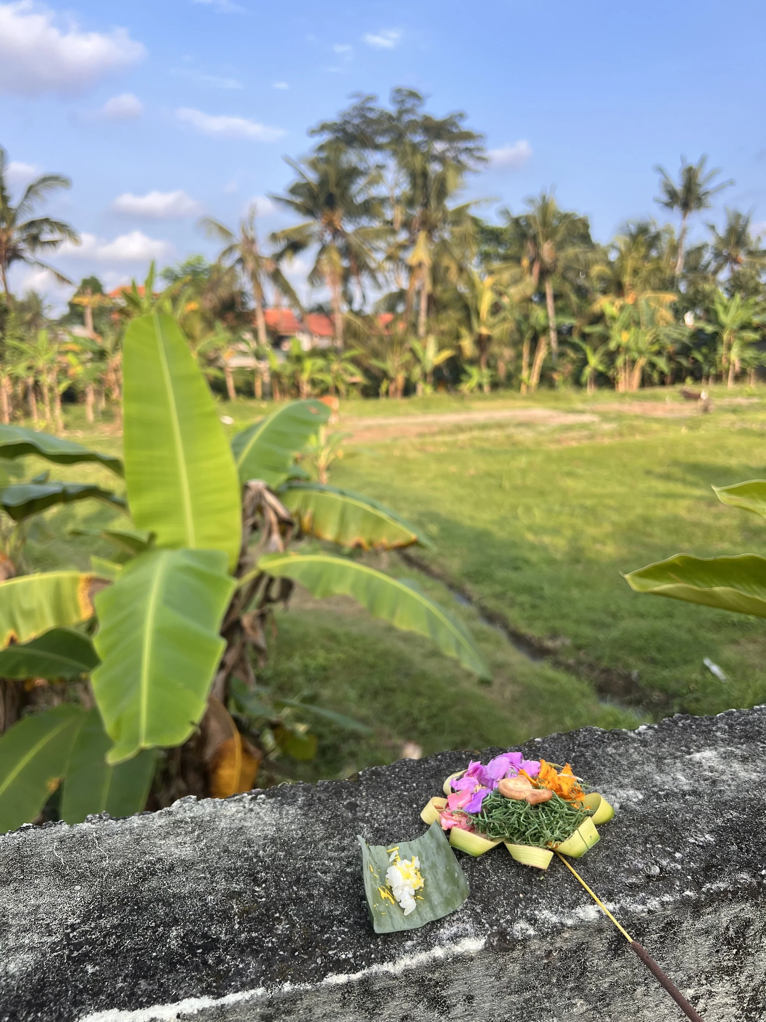 ibrant floral offering for tantra-inspired healing