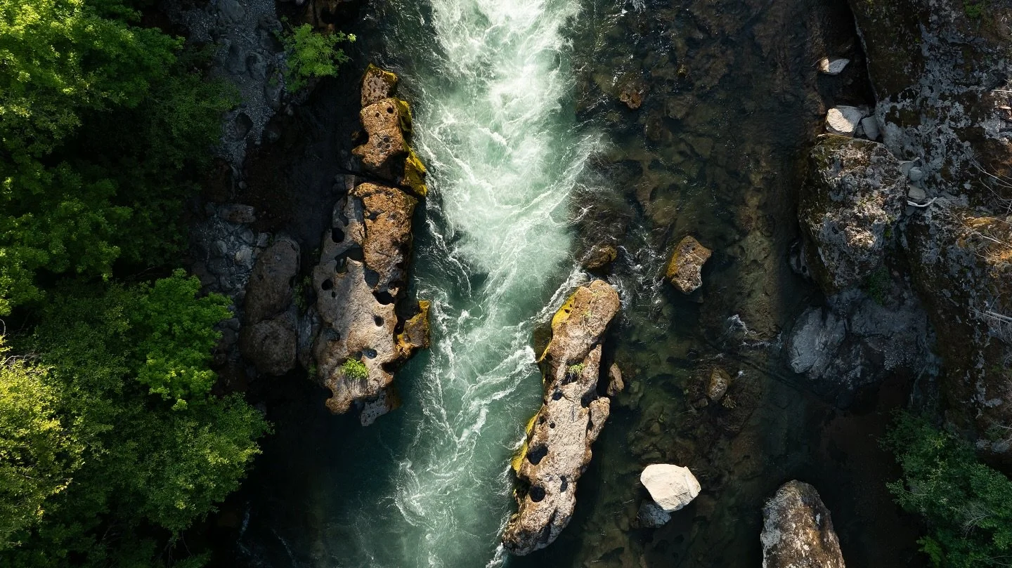 It&rsquo;s hard not to love the North Umpqua, a little geologic wonderland who&rsquo;s lucky to have salmon and steelhead runs that have helped protect it for decades

Even with wildfire, climate change and federal funding freezes, the conservation e