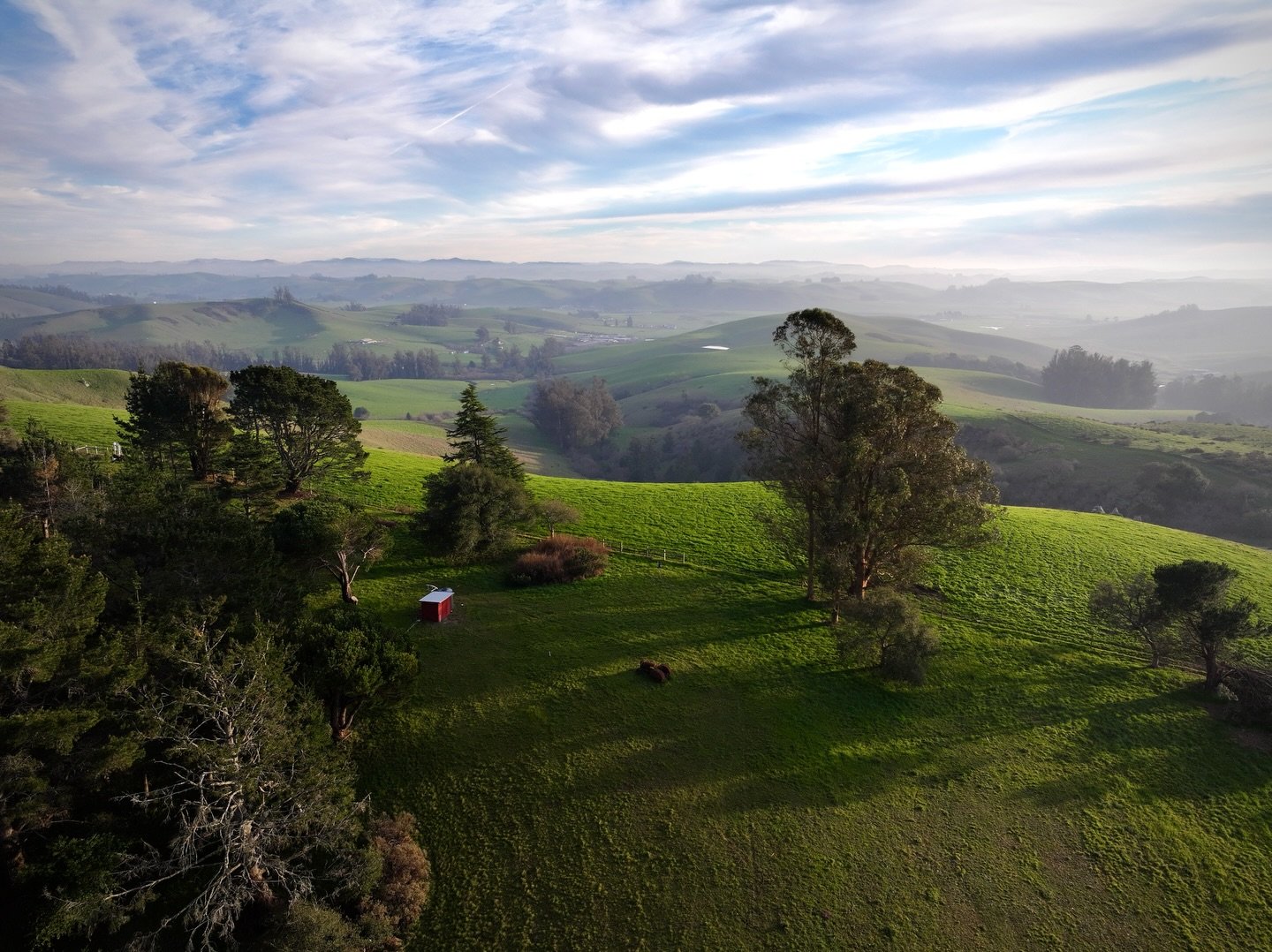 Life off grid lately in Sonoma County 💛 Taking a little break to spend more time outside with my Bear. He&rsquo;s had a rough go lately health-wise so felt like a good time to slow down and soak up ranch life