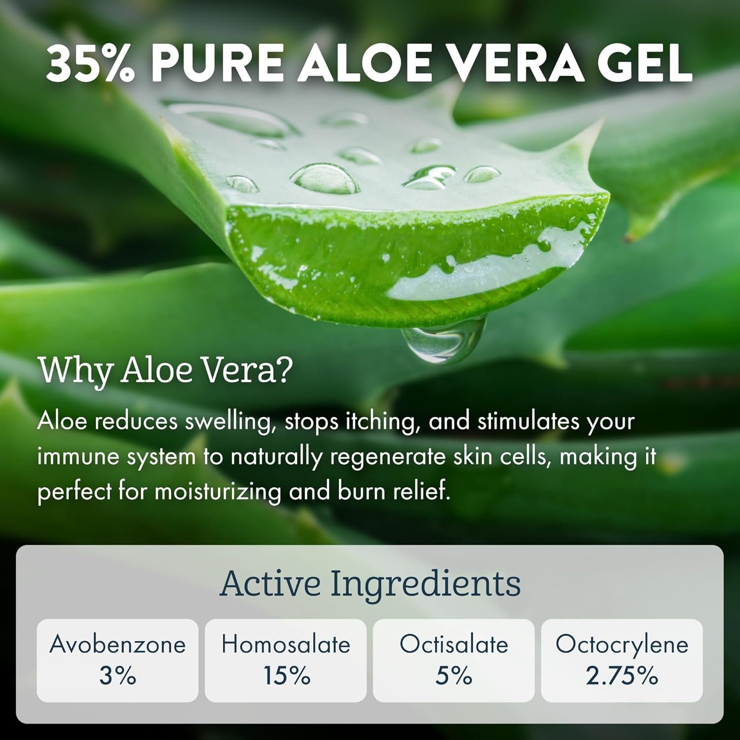SPRAY ALOE VERA.jpeg