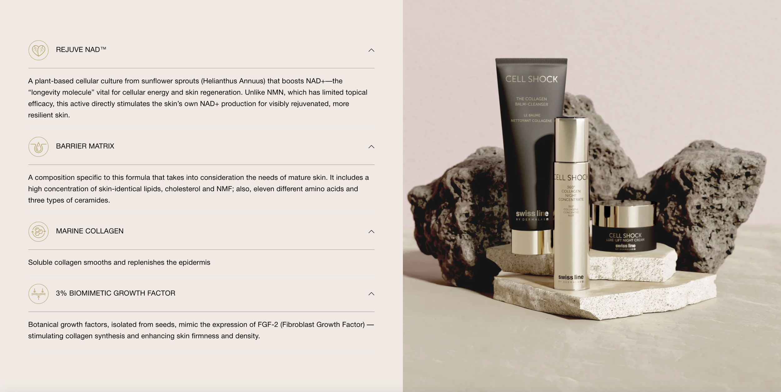 Screenshot 2026-03-05 at 2.19.04 PM.png