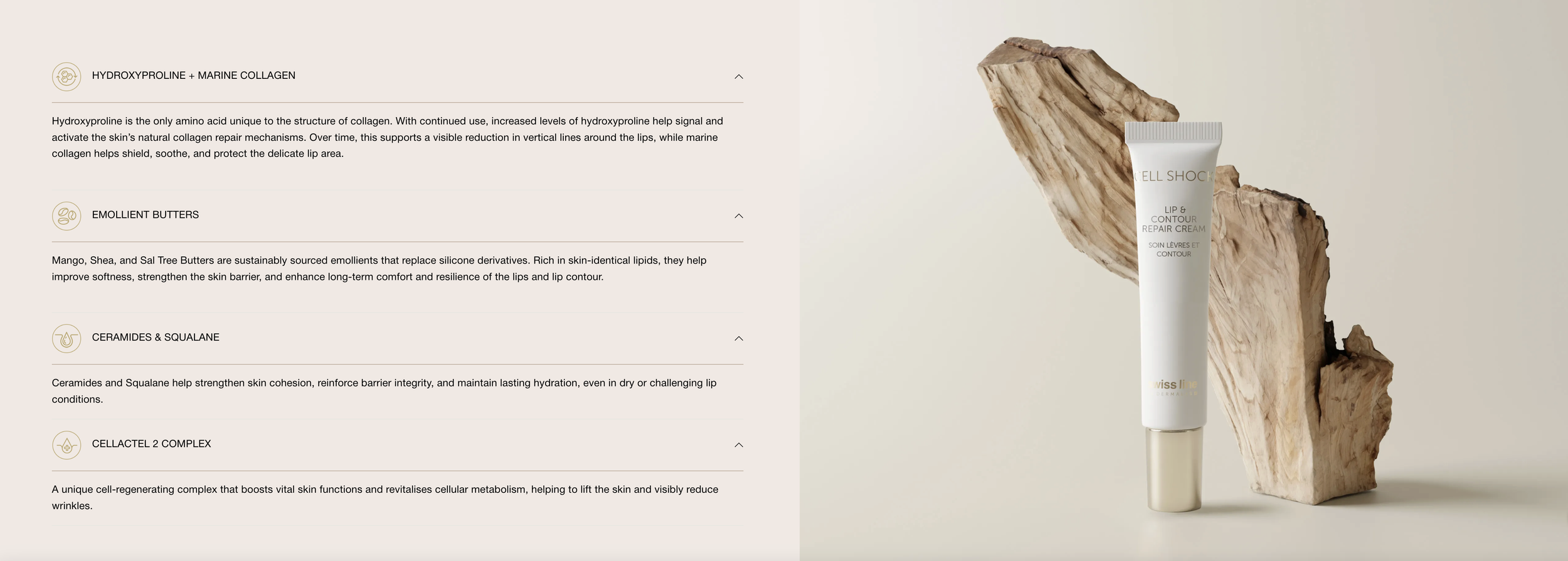 Screenshot 2026-03-05 at 2.58.30 PM.png