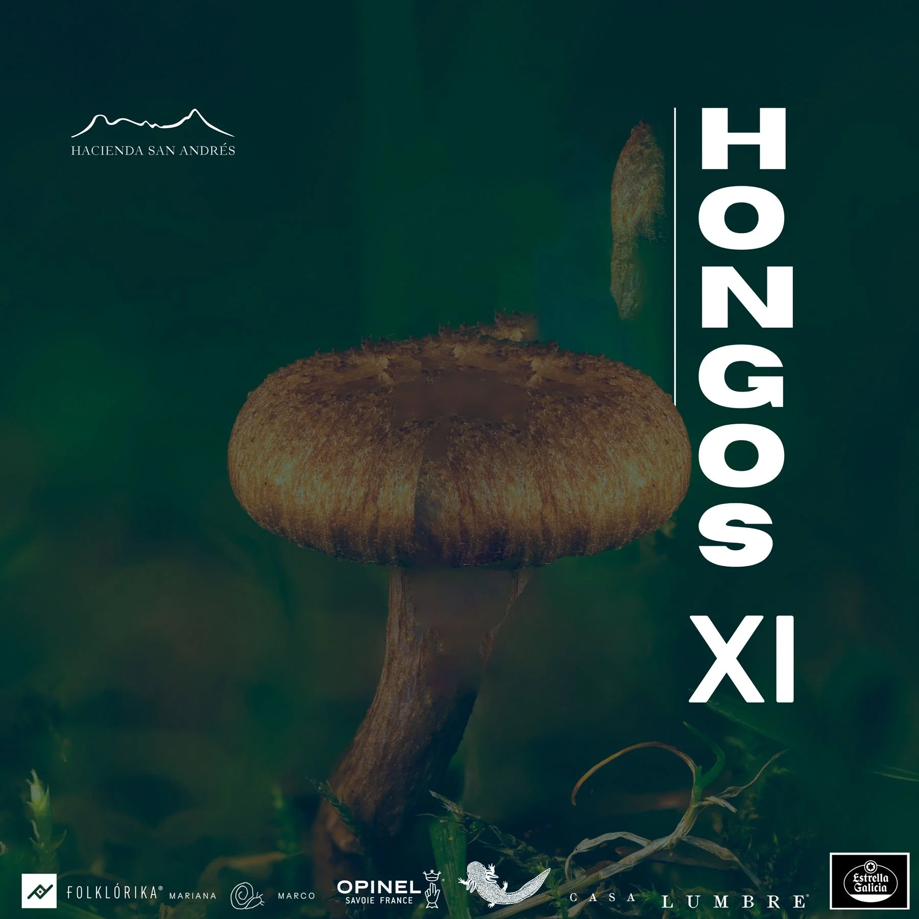 Hongos XI
