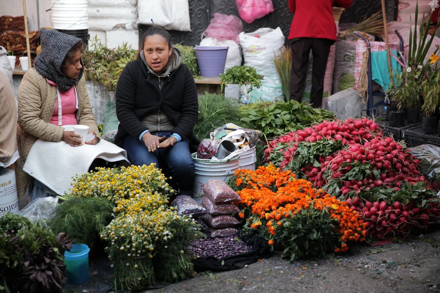 Dos mujeres sentadas en un puesto de mercado con flores y rábanos rojos.
