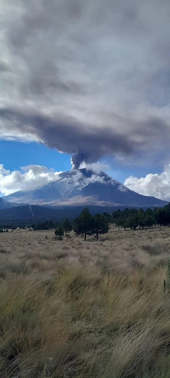 Un volcán en erupción con una columna de humo y ceniza que sale de su cráter, sobre un bosque y pradera.