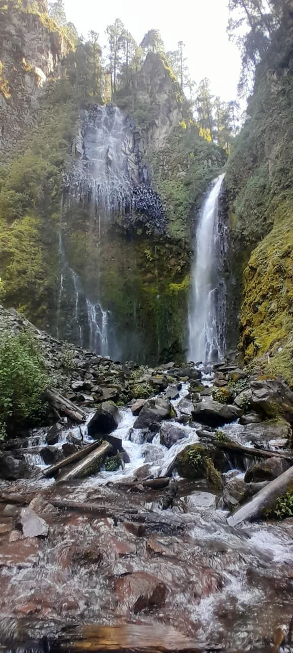Cascada en un cañón rodeada de rocas y árboles