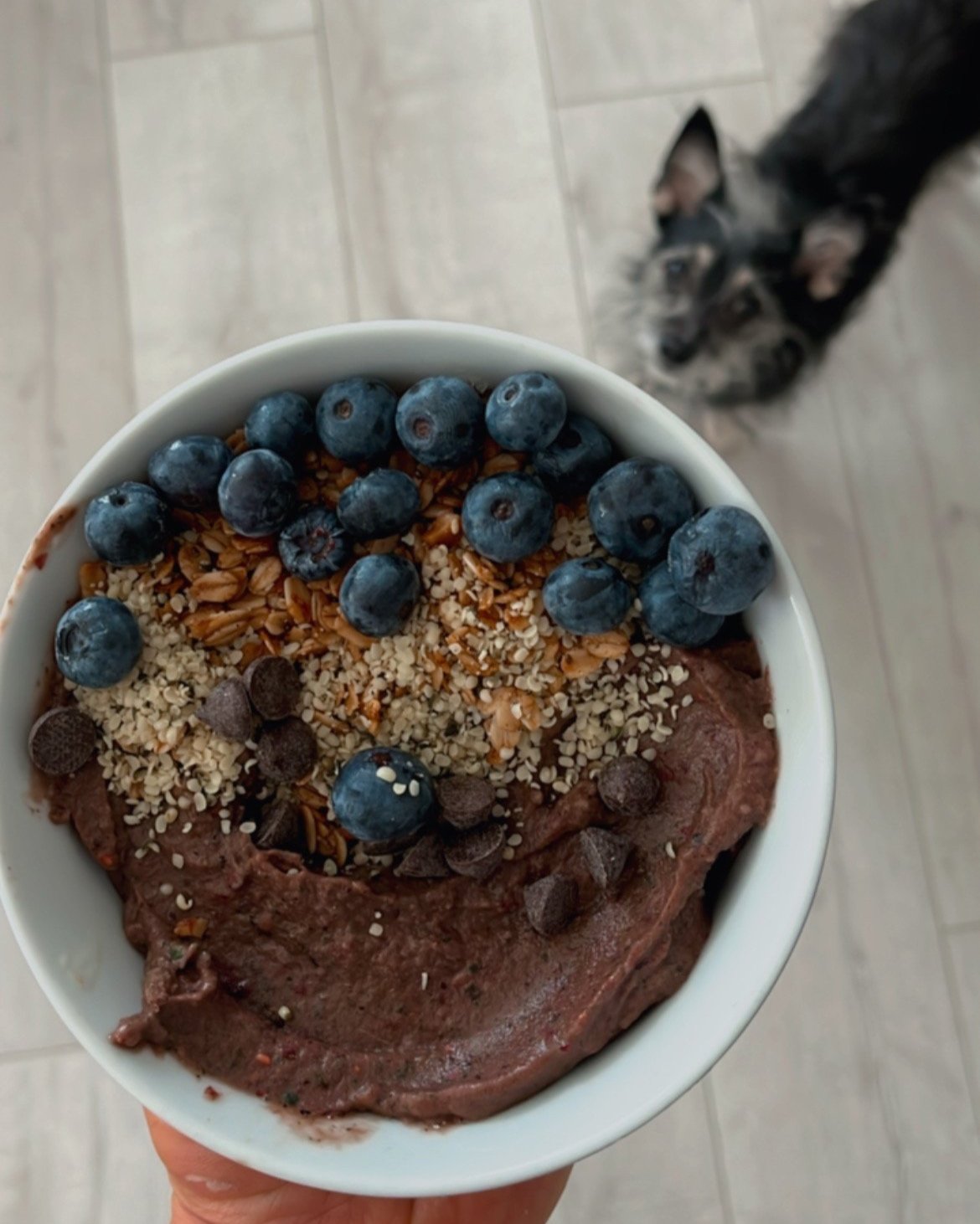 healthy smoothie bowl with blueberries, granola, hemp hearts, and a puppy.