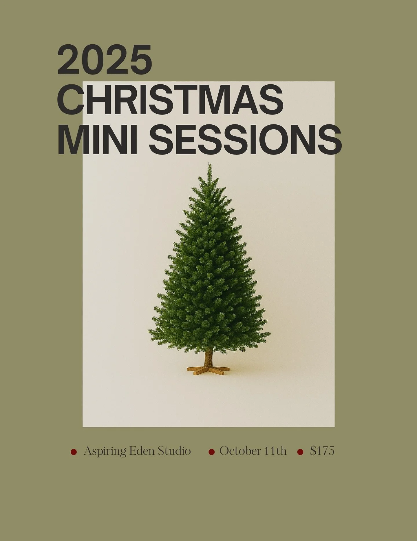 You asked, I listened! 2025 Holiday Mini Sessions are now live! These are 15 minute sessions with 20-25 images and a guaranteed delivery by Thanksgiving! ($50 retainer to hold your spot) 🌲🕯️

Would love to see some past clients and some new faces t
