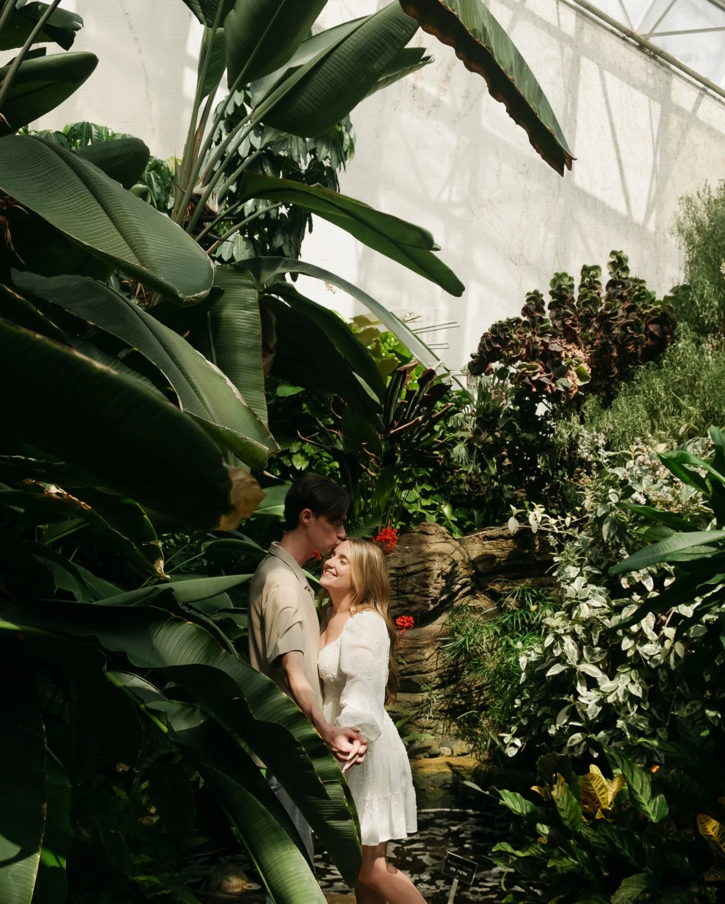 Dreaming about these two and the greens 🌿
.

.

.

#indianaphotographer #indianaphotography #indianapolisphotographer indyphotographer indianapolisphotography igersindy hoosierphotographer hoosierphotography midwestphotographer midwestphotography in