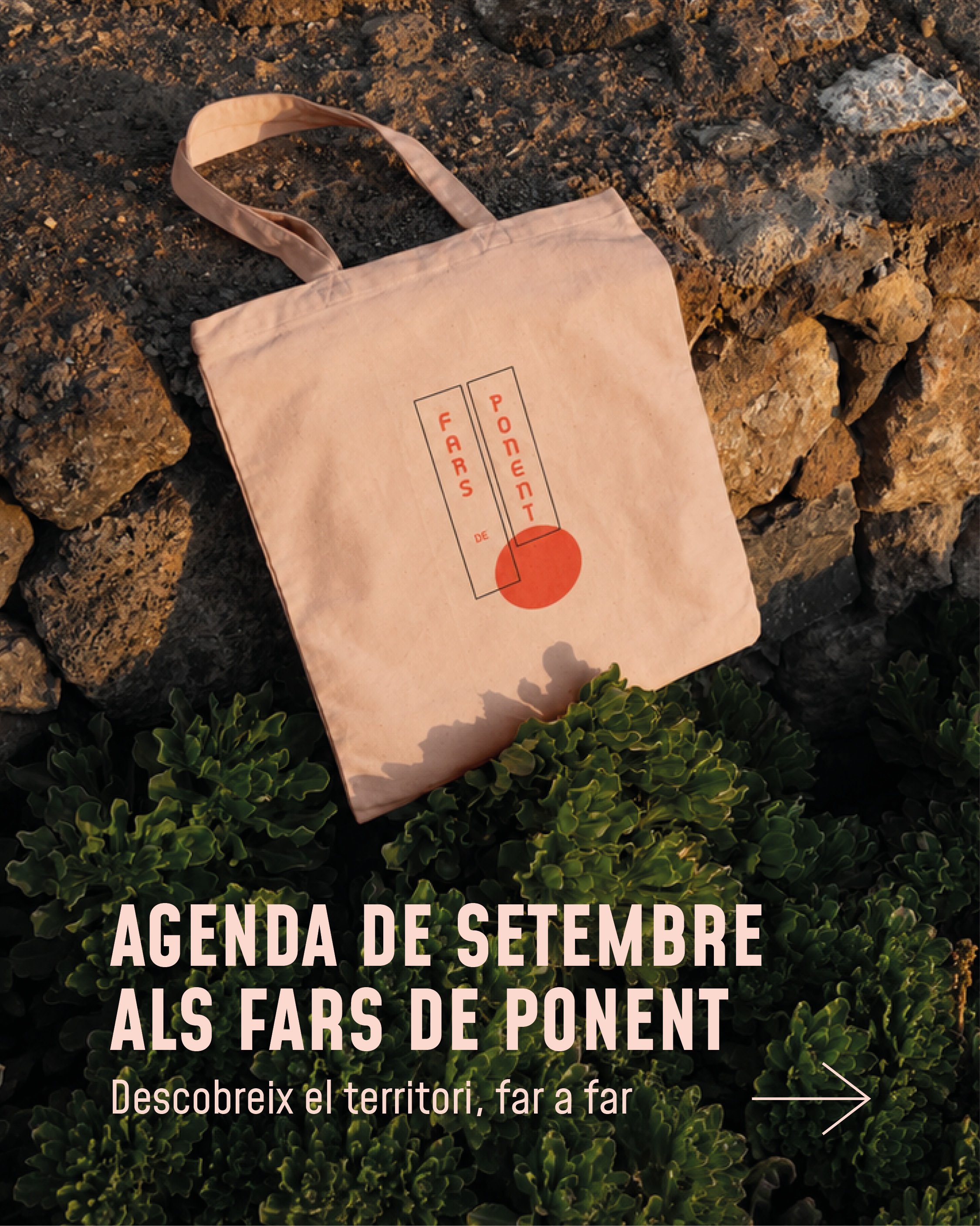 .

AGENDA DE SETEMBRE ALS FARS DE PONENT

Amb el passaport a la m&agrave;, et proposem rec&oacute;rrer Ponent far a far: 8 campanars, 1 torre, paisatge i hist&ograve;ria explicada des d&rsquo;una altra al&ccedil;ada.

Aquest setembre tens visites en 