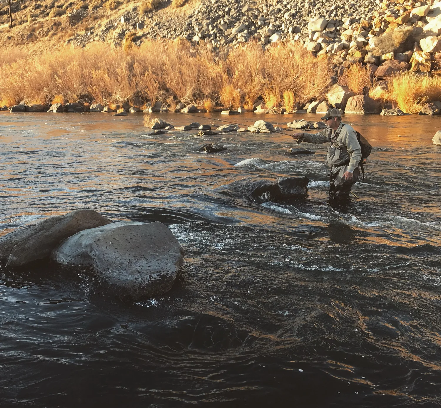 Pyramid/Truckee RIT — Lahontan Cutthroat trout recovery