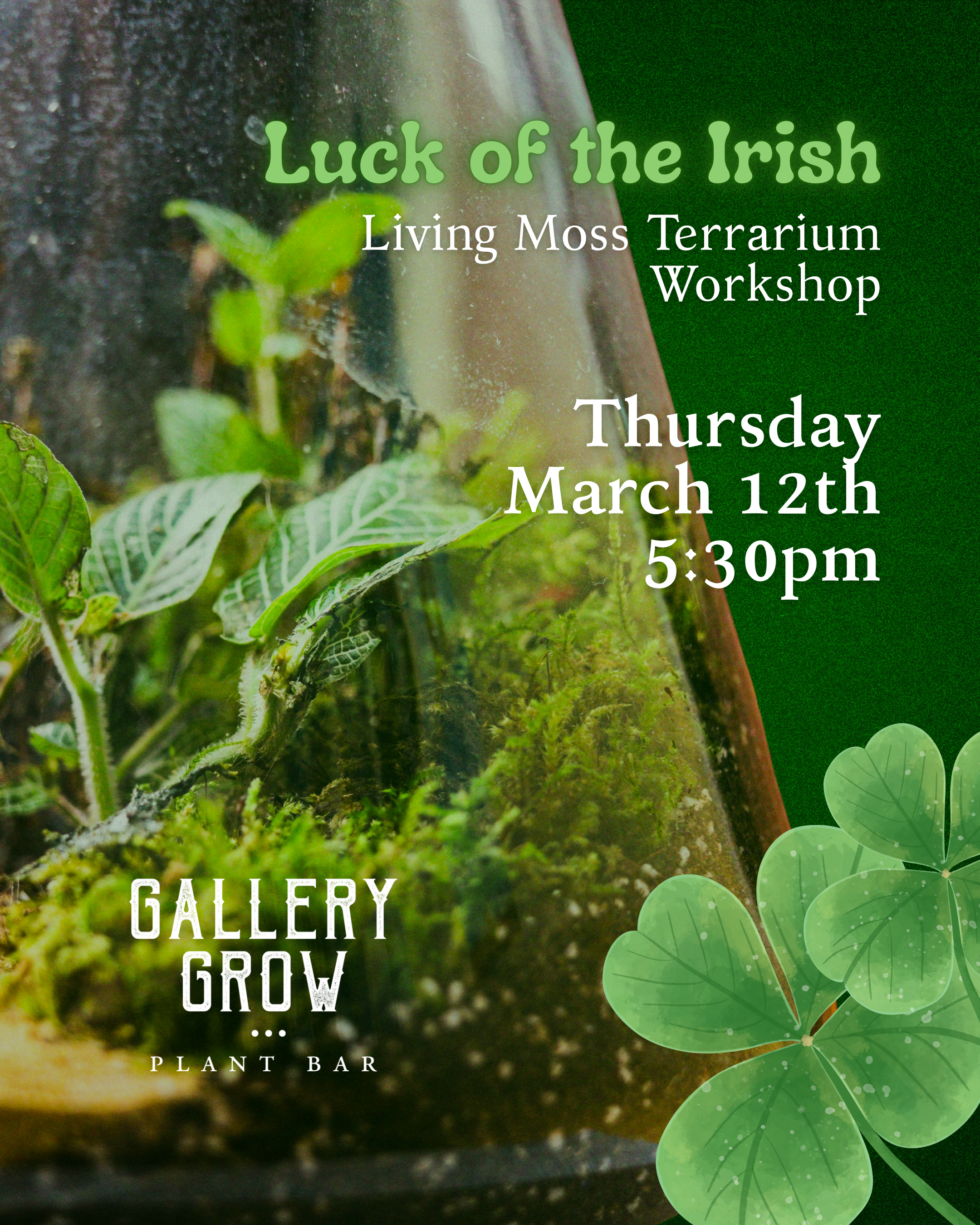 Luck of the Irish Living Moss Terrarium Workshop