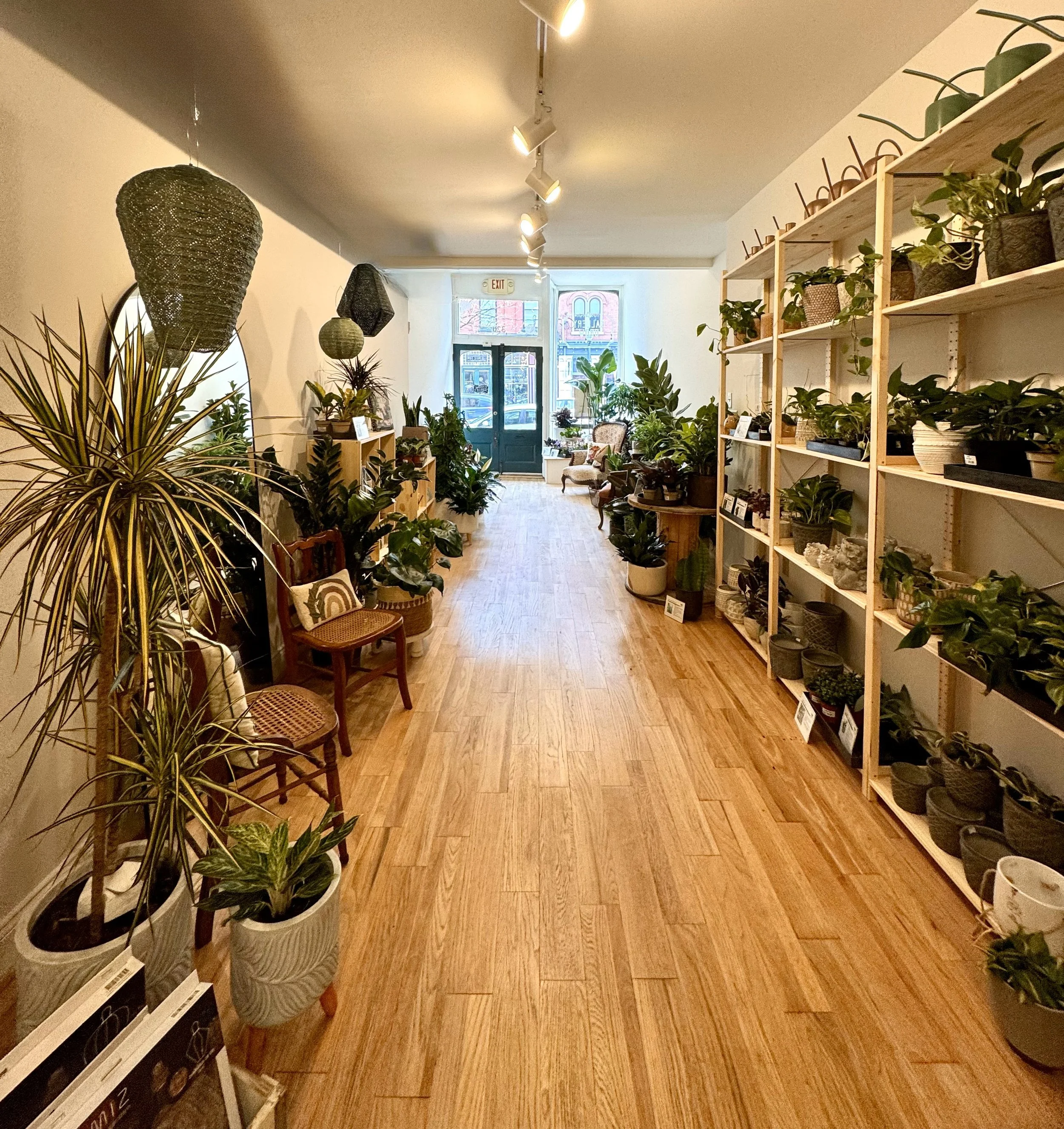 About | Create a Living Project — Gallery Grow Plant Bar